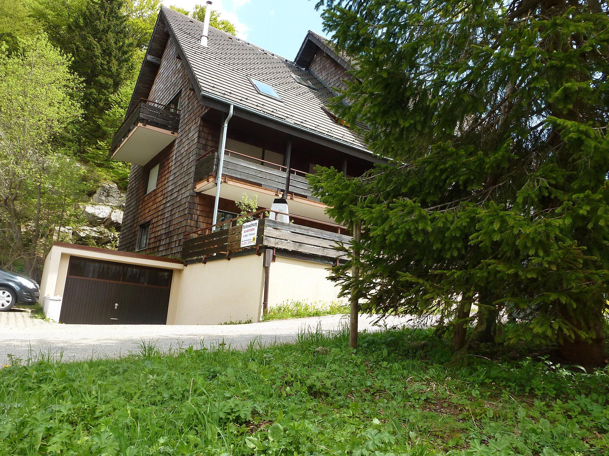 Foto 12 - Apartment mit 2 Schlafzimmern in Feldberg (Schwarzwald) mit blick auf die berge