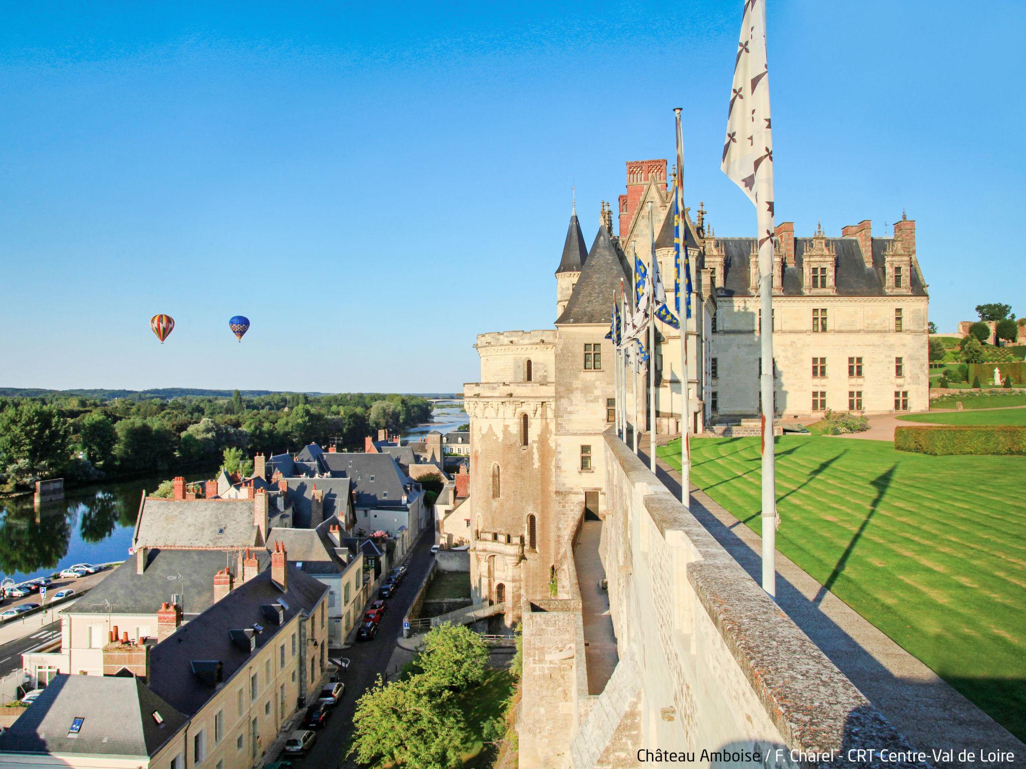 Foto 21 - Casa de 1 quarto em Veuzain-sur-Loire com jardim e terraço