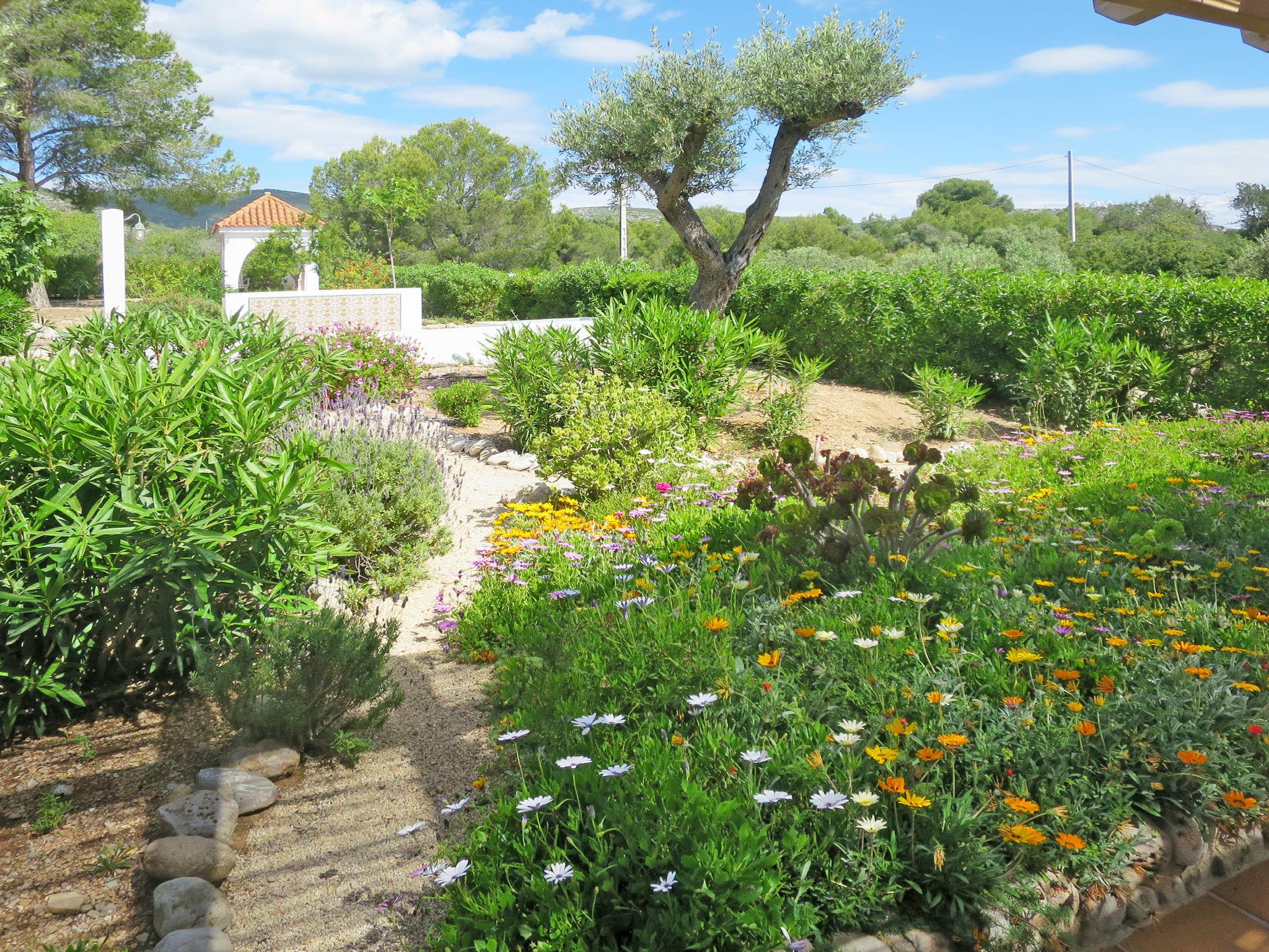 Photo 28 - 3 bedroom House in Peñíscola with garden and sea view