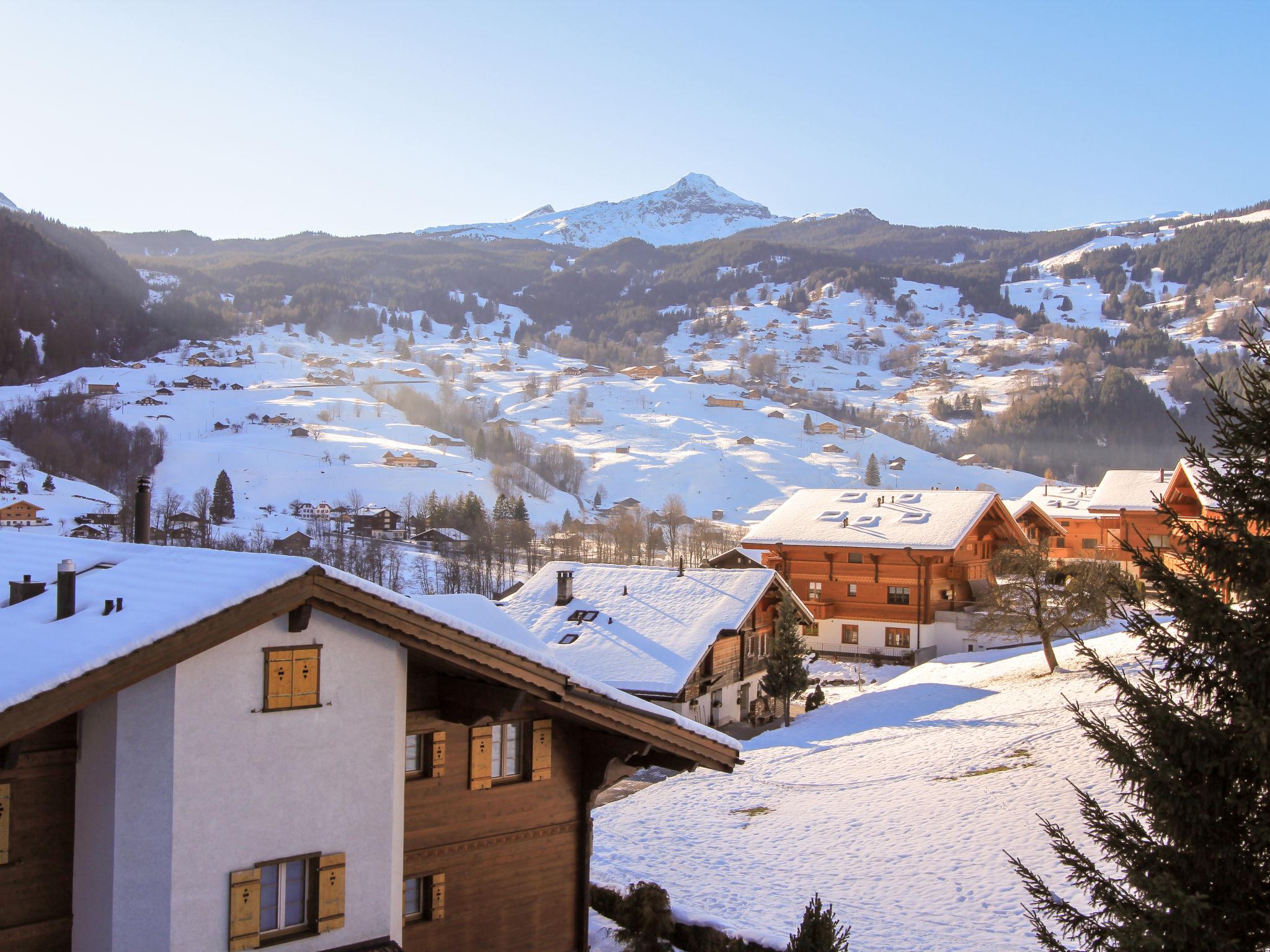 Foto 17 - Apartamento de 1 quarto em Grindelwald com jardim e vista para a montanha