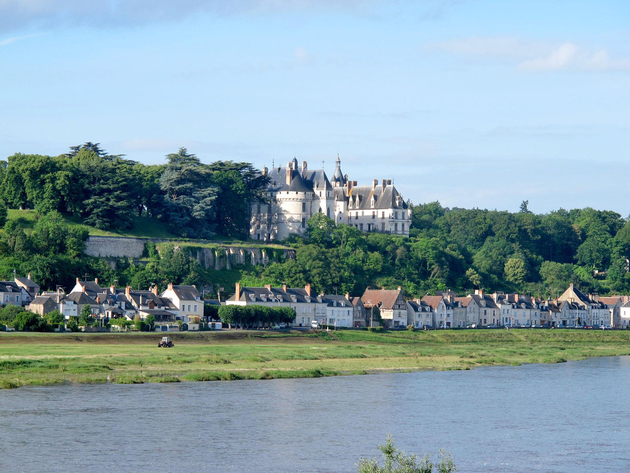 Photo 19 - Maison de 1 chambre à Veuzain-sur-Loire avec jardin et terrasse