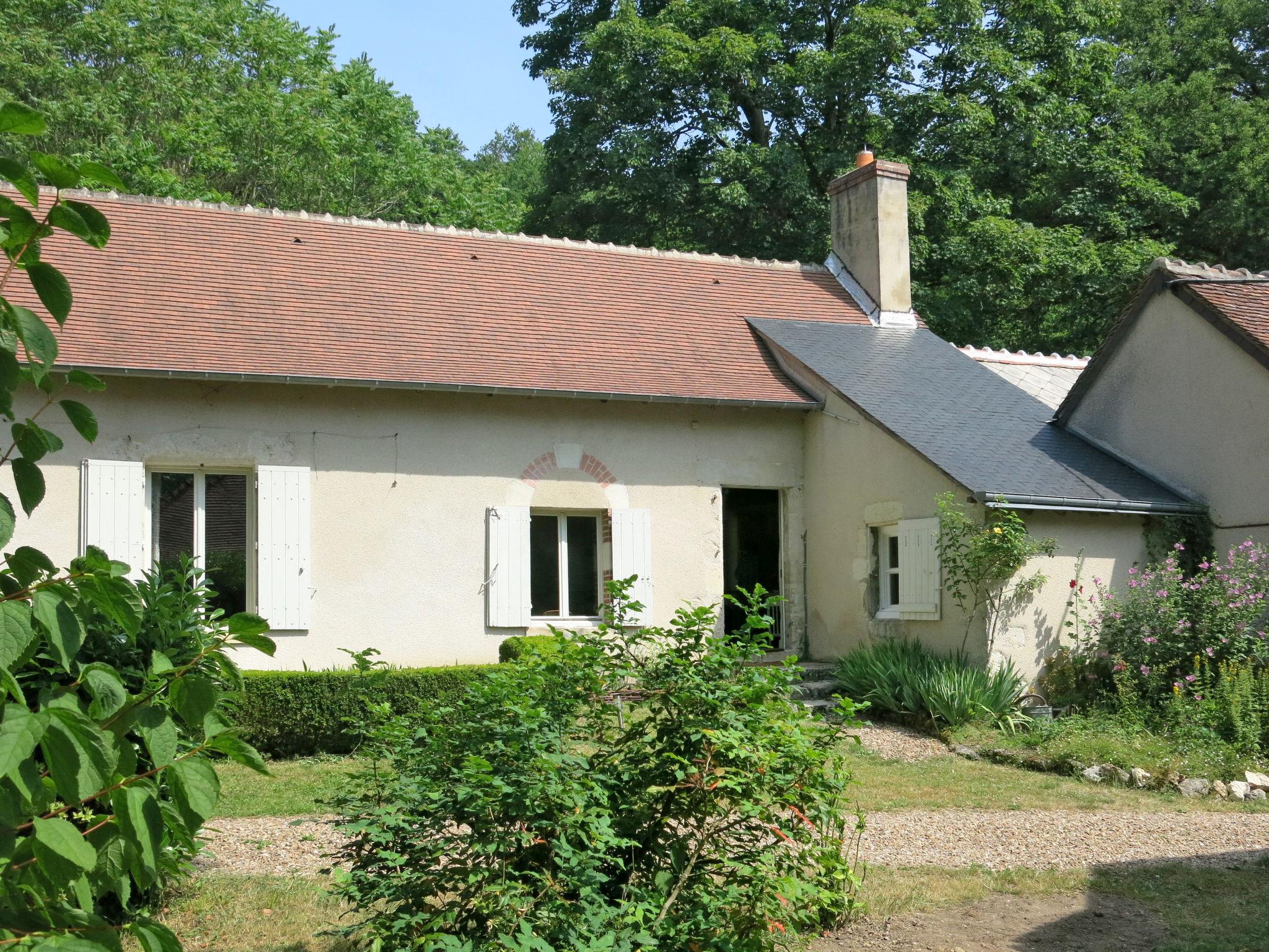 Foto 16 - Haus mit 1 Schlafzimmer in Veuzain-sur-Loire mit garten und terrasse