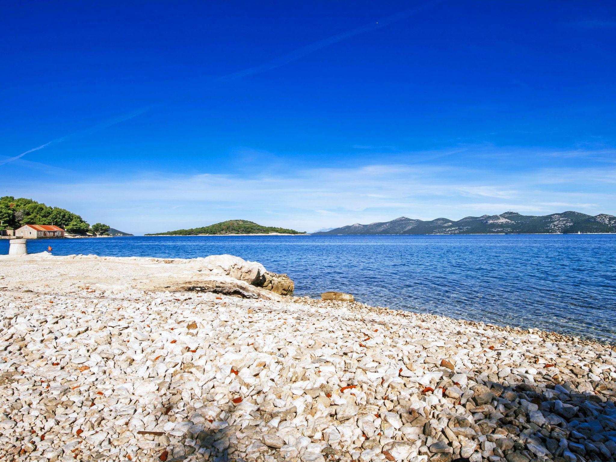 Foto 43 - Haus mit 4 Schlafzimmern in Zadar mit garten und terrasse