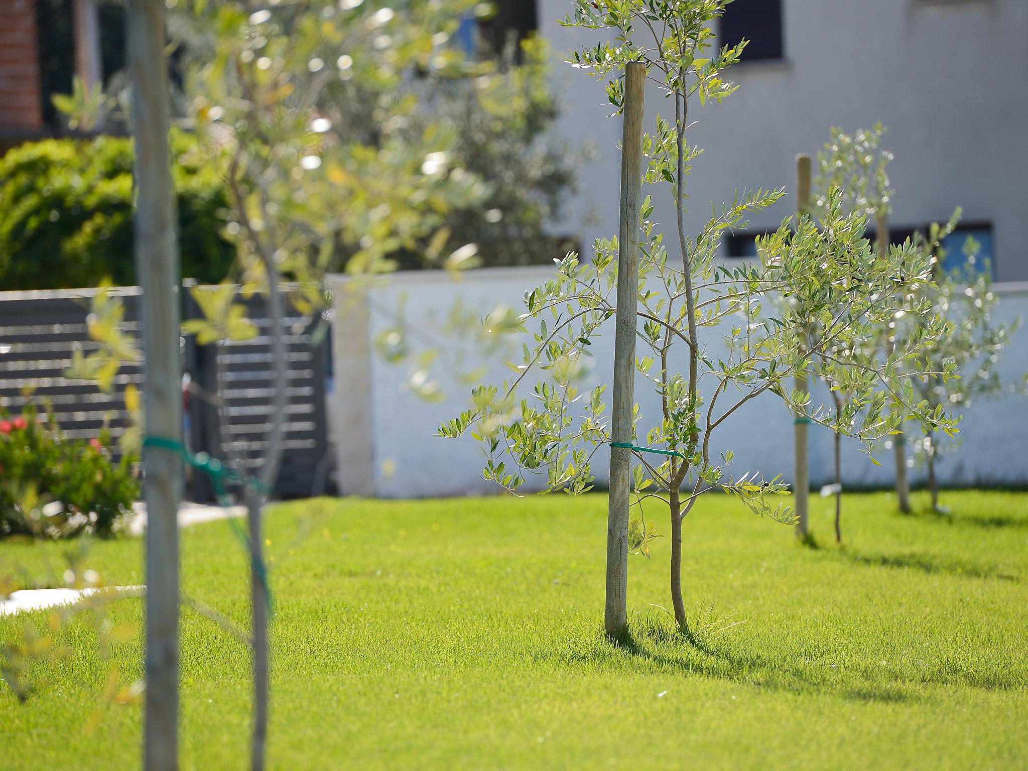 Photo 38 - Maison de 4 chambres à Pula avec piscine privée et jardin