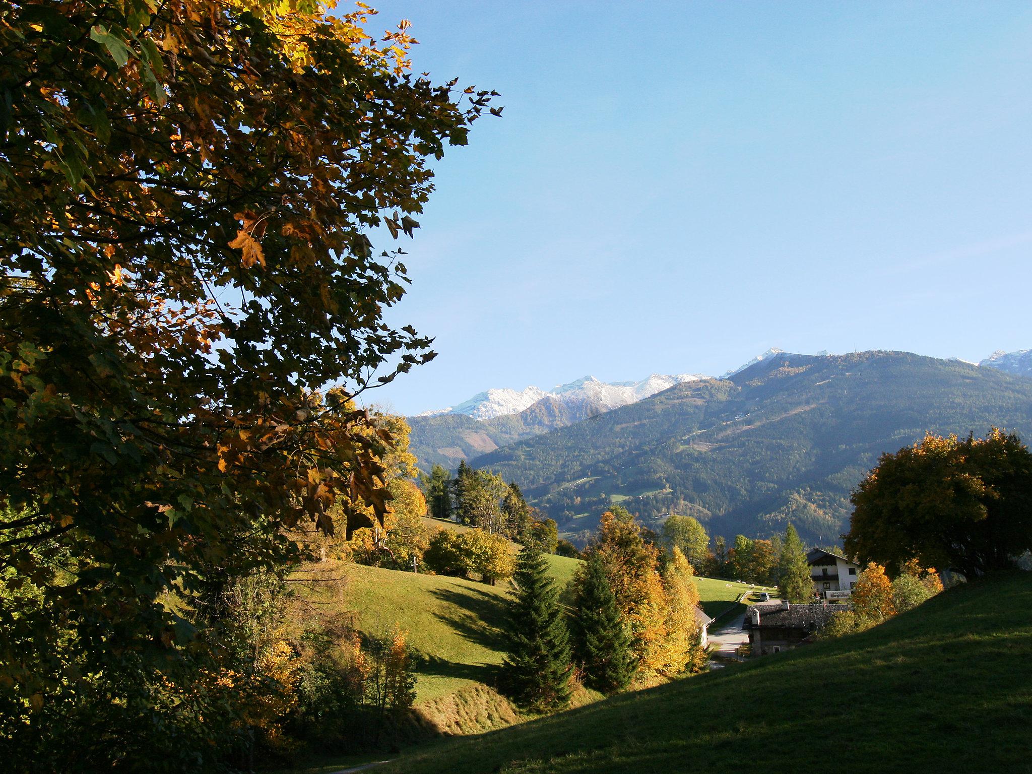 Foto 23 - Haus mit 5 Schlafzimmern in Ramsau am Dachstein mit garten und blick auf die berge