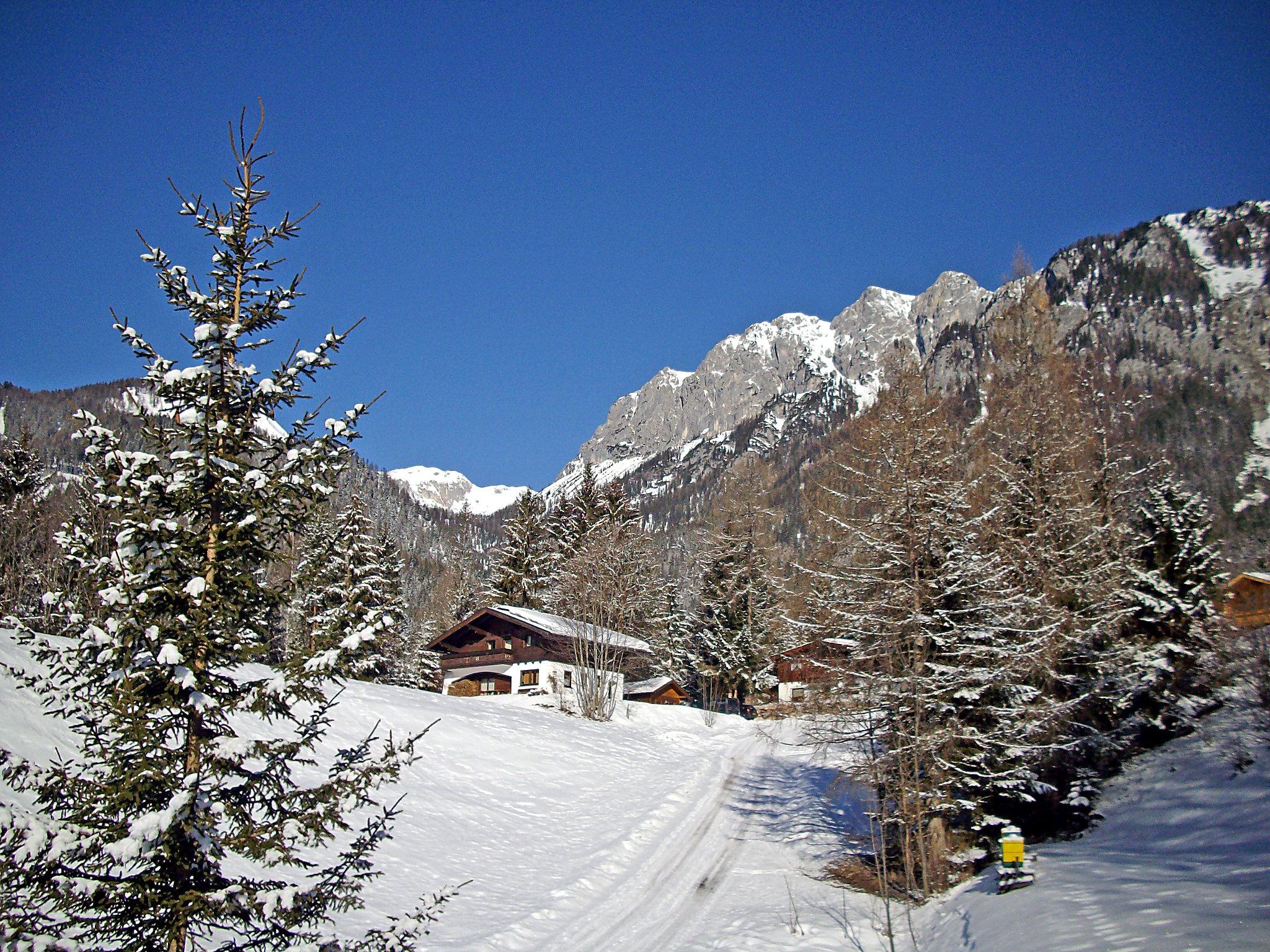 Foto 25 - Casa de 5 habitaciones en Ramsau am Dachstein con jardín y terraza