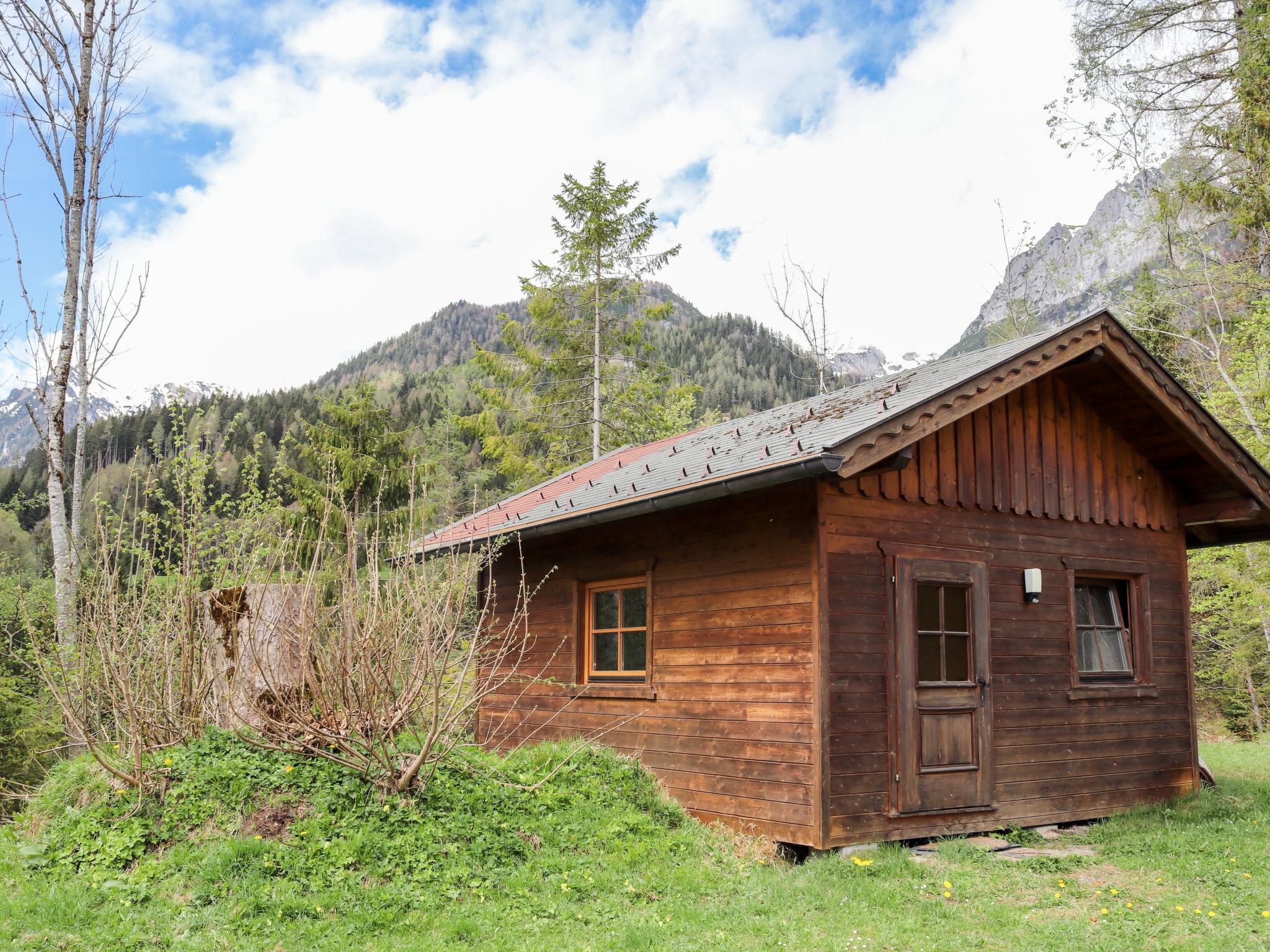 Foto 24 - Casa de 5 habitaciones en Ramsau am Dachstein con jardín y vistas a la montaña