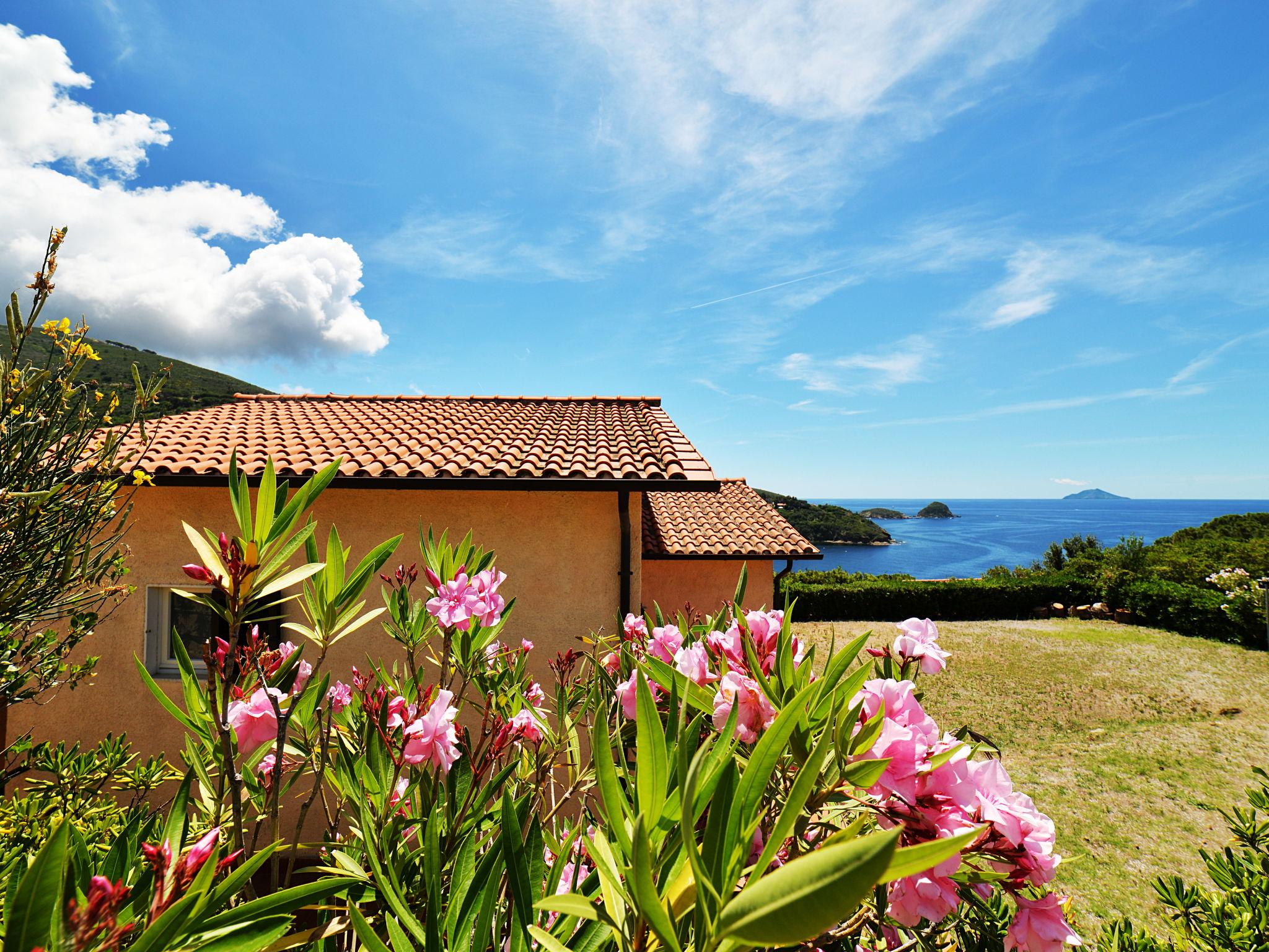 Foto 11 - Apartamento em Capoliveri com jardim e vistas do mar