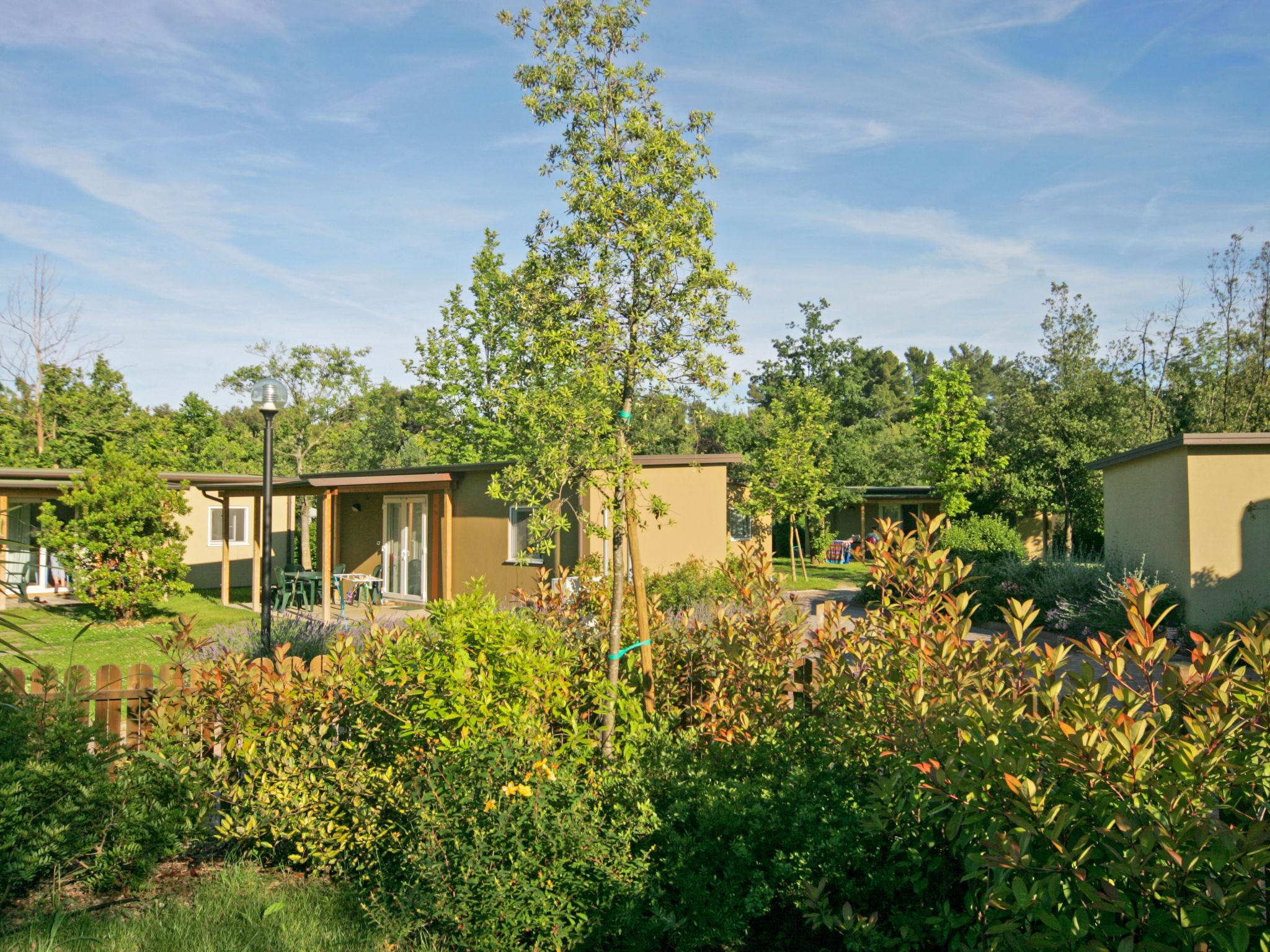 Photo 5 - House in Grado with swimming pool and garden