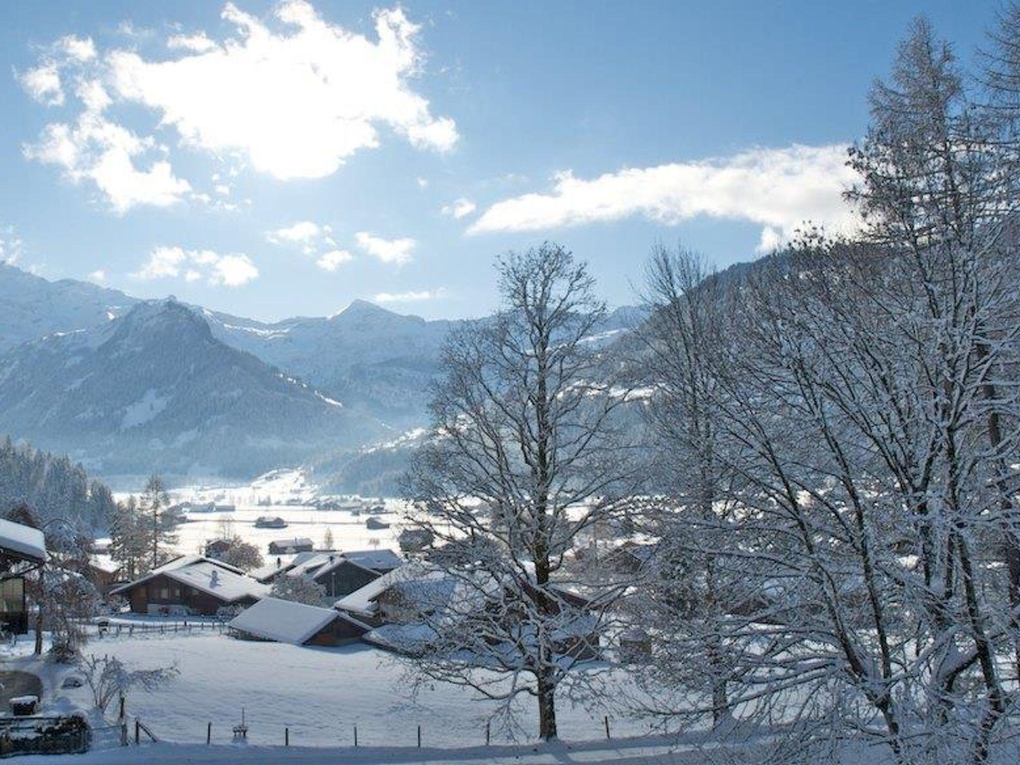 Foto 5 - Appartamento con 2 camere da letto a Lenk con giardino