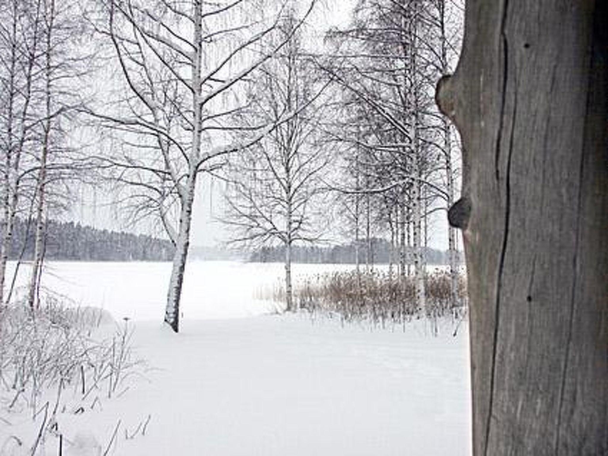 Photo 21 - 1 bedroom House in Asikkala with sauna