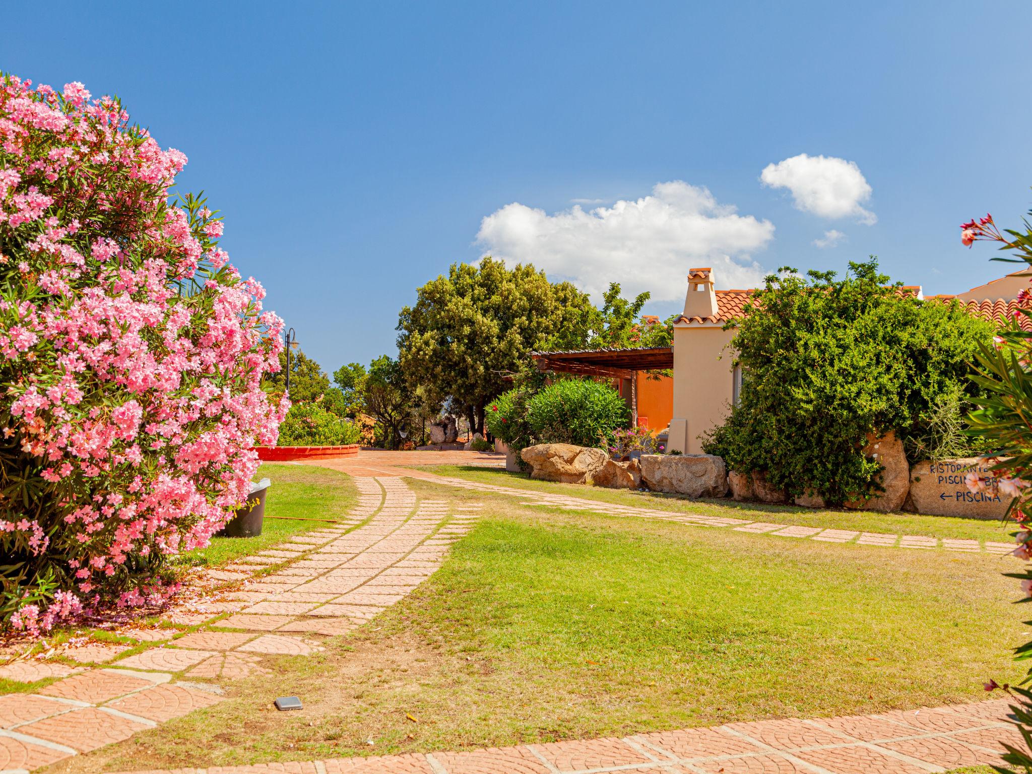 Photo 17 - 2 bedroom House in Loiri Porto San Paolo with swimming pool and garden