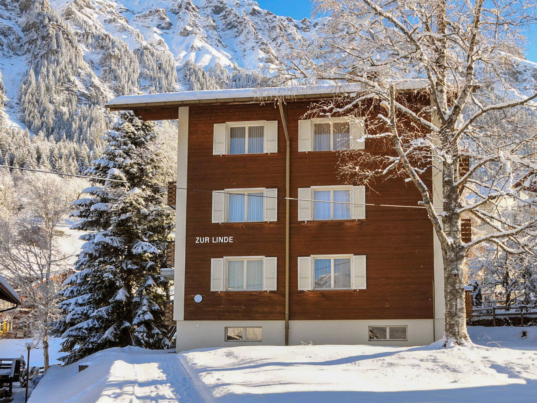 Photo 8 - Appartement de 2 chambres à Lauterbrunnen avec vues sur la montagne