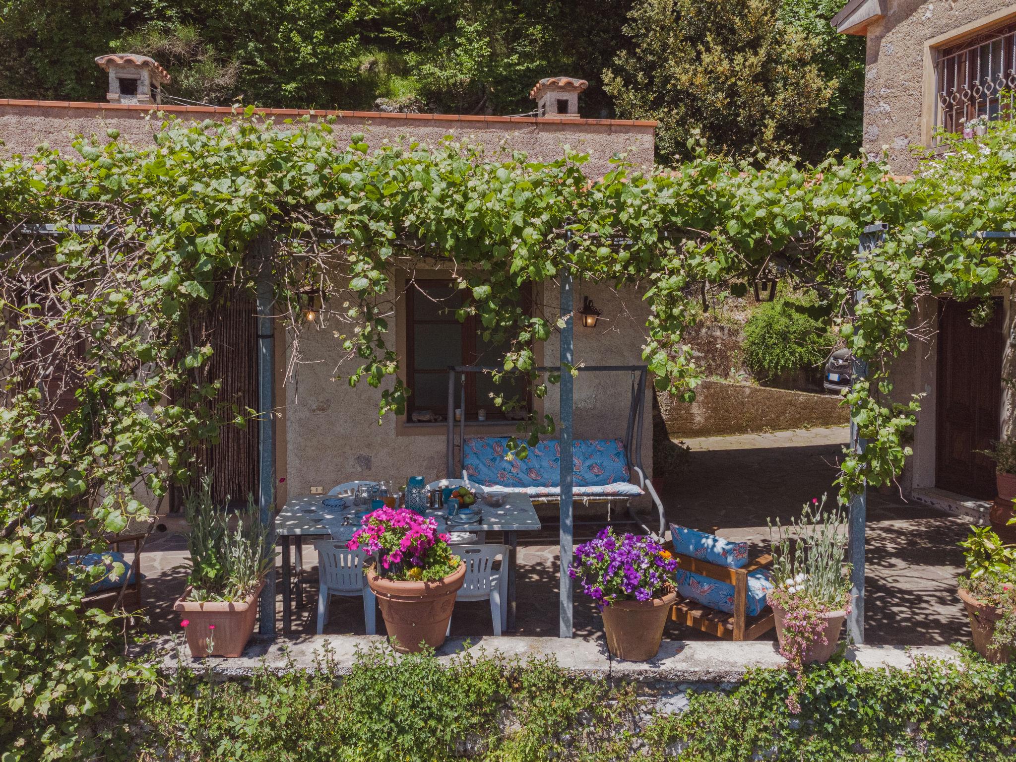 Photo 29 - Maison de 2 chambres à Camaiore avec jardin et terrasse