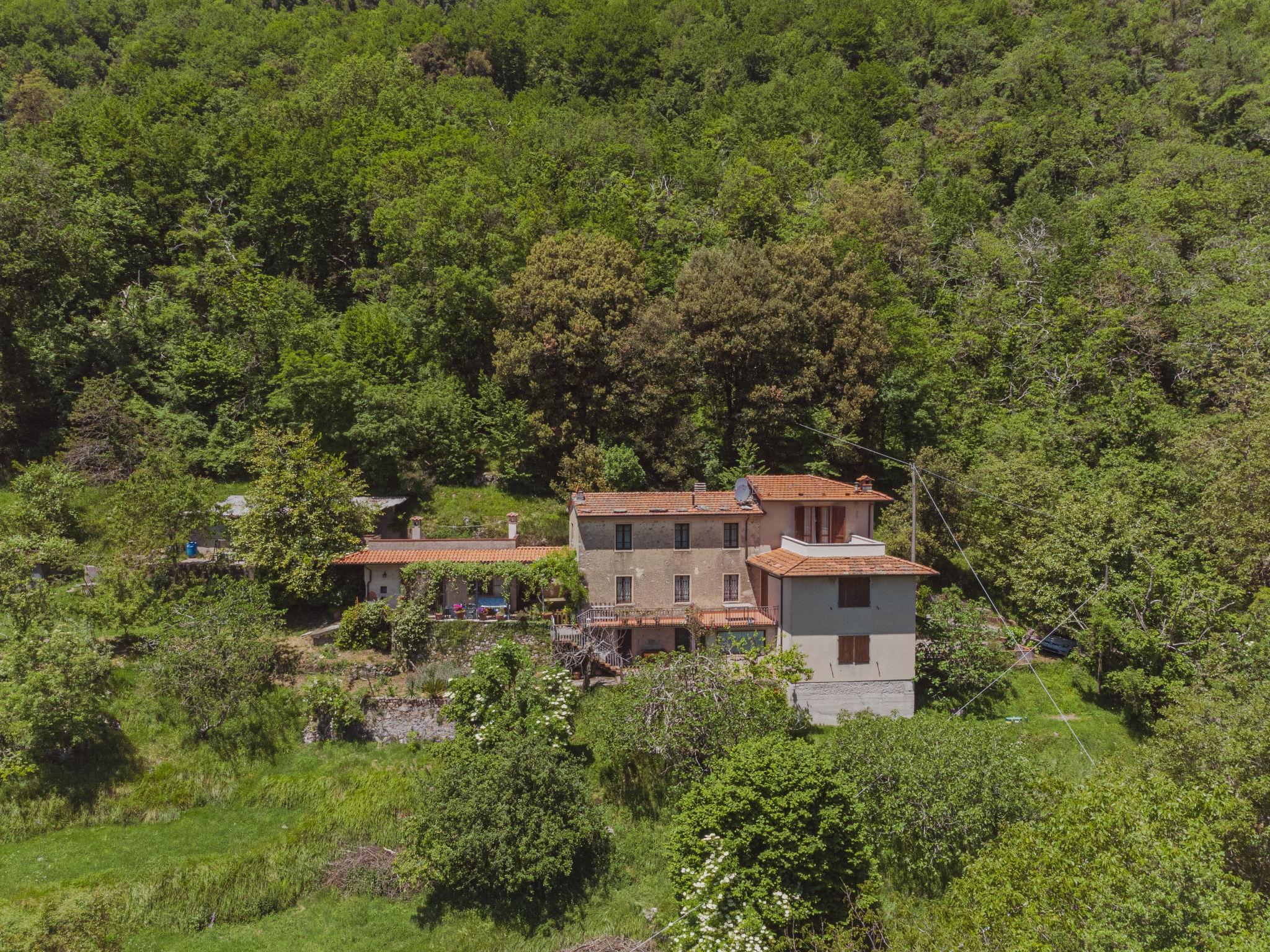 Photo 24 - Maison de 2 chambres à Camaiore avec jardin et terrasse