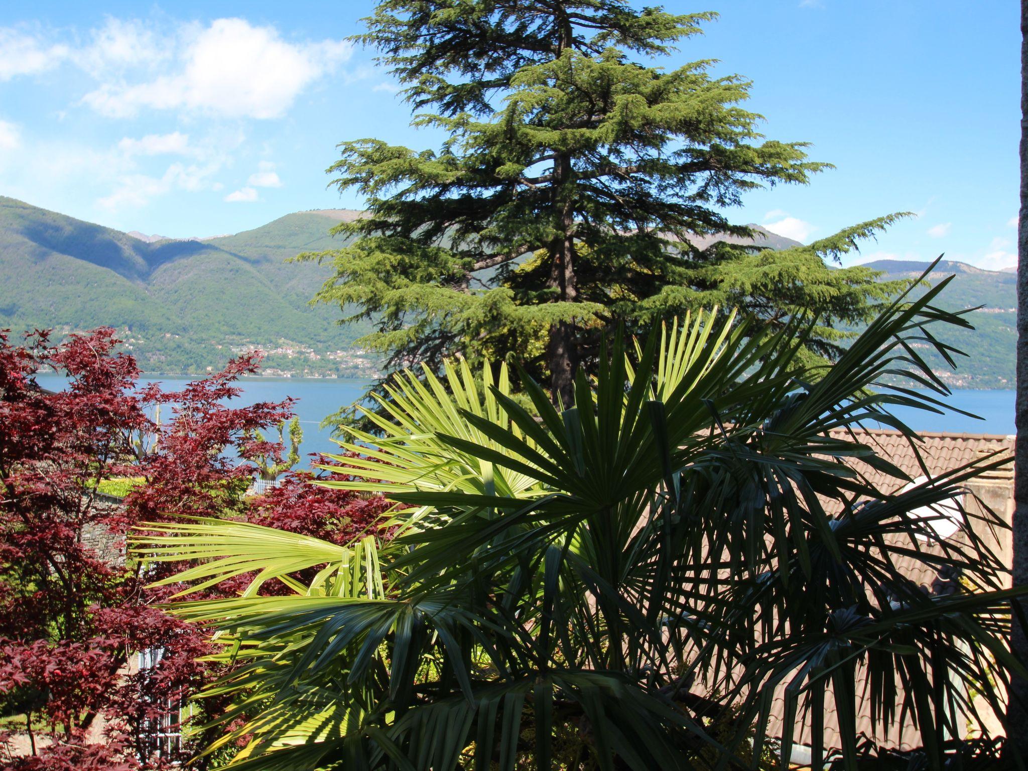 Foto 13 - Appartamento a Porto Valtravaglia con piscina e vista sulle montagne