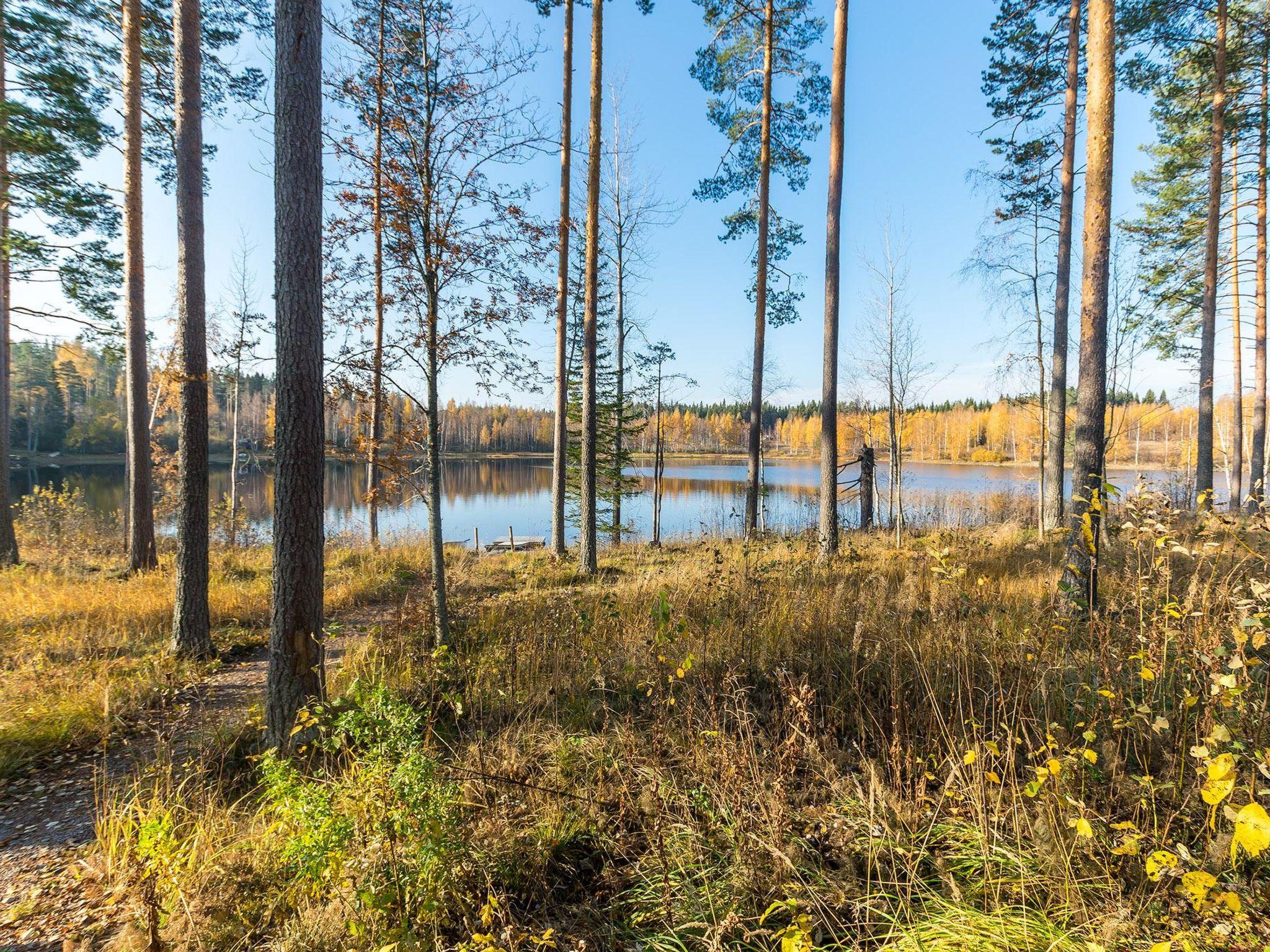 Foto 22 - Casa de 4 quartos em Jämsä com sauna