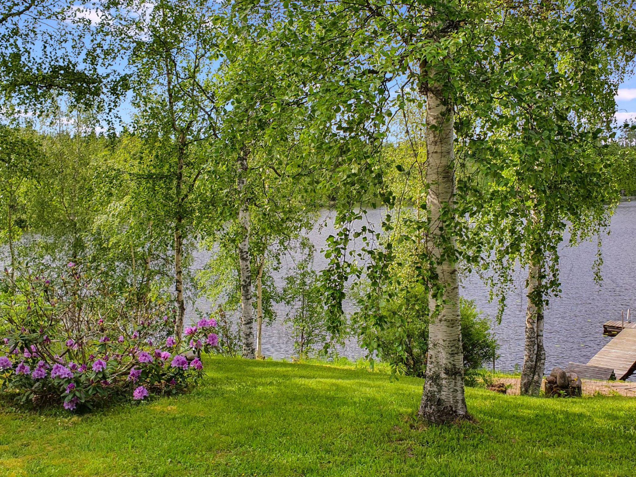 Photo 5 - Maison de 1 chambre à Ruokolahti avec sauna