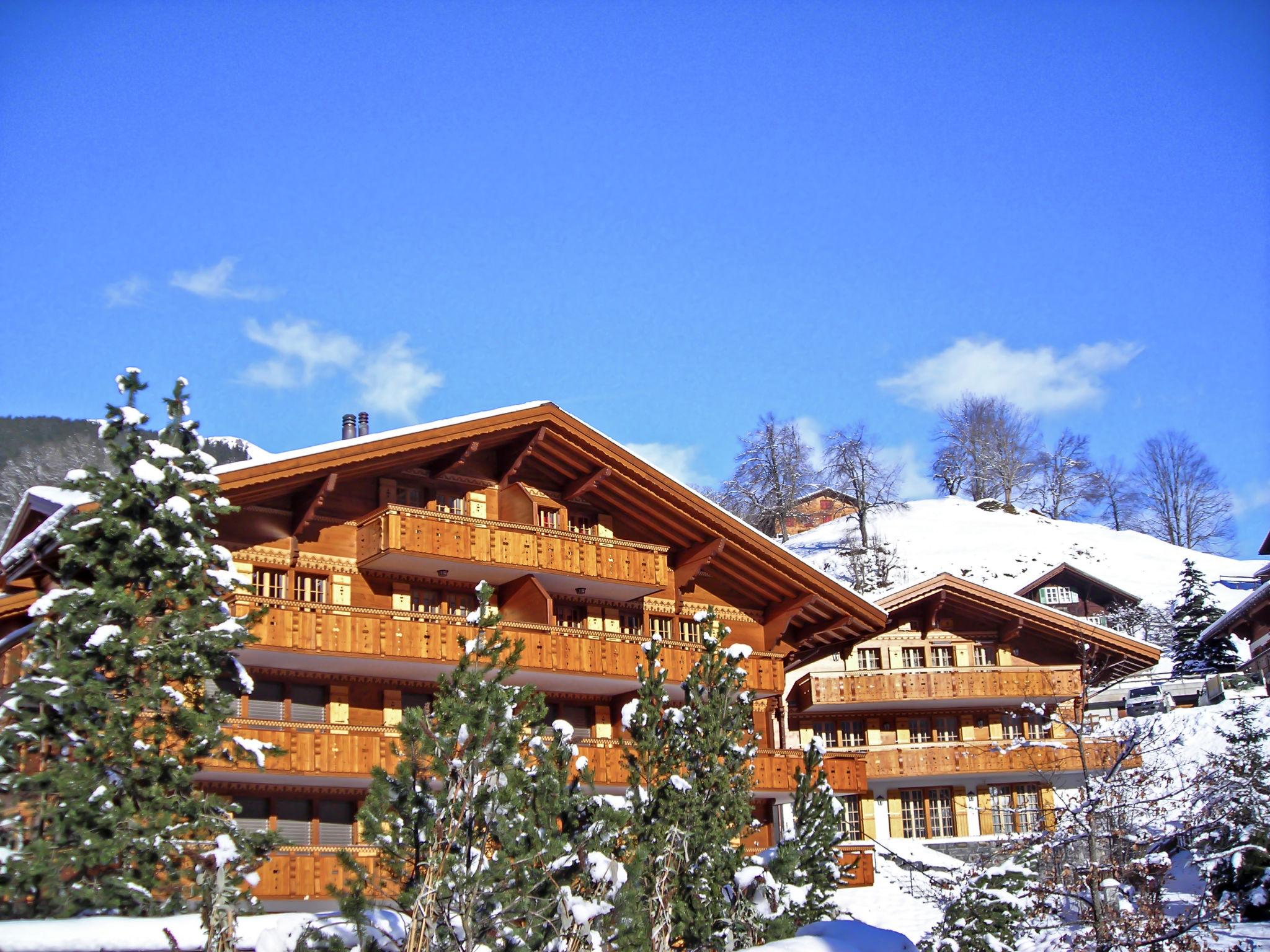 Foto 18 - Appartamento con 1 camera da letto a Grindelwald con terrazza e vista sulle montagne