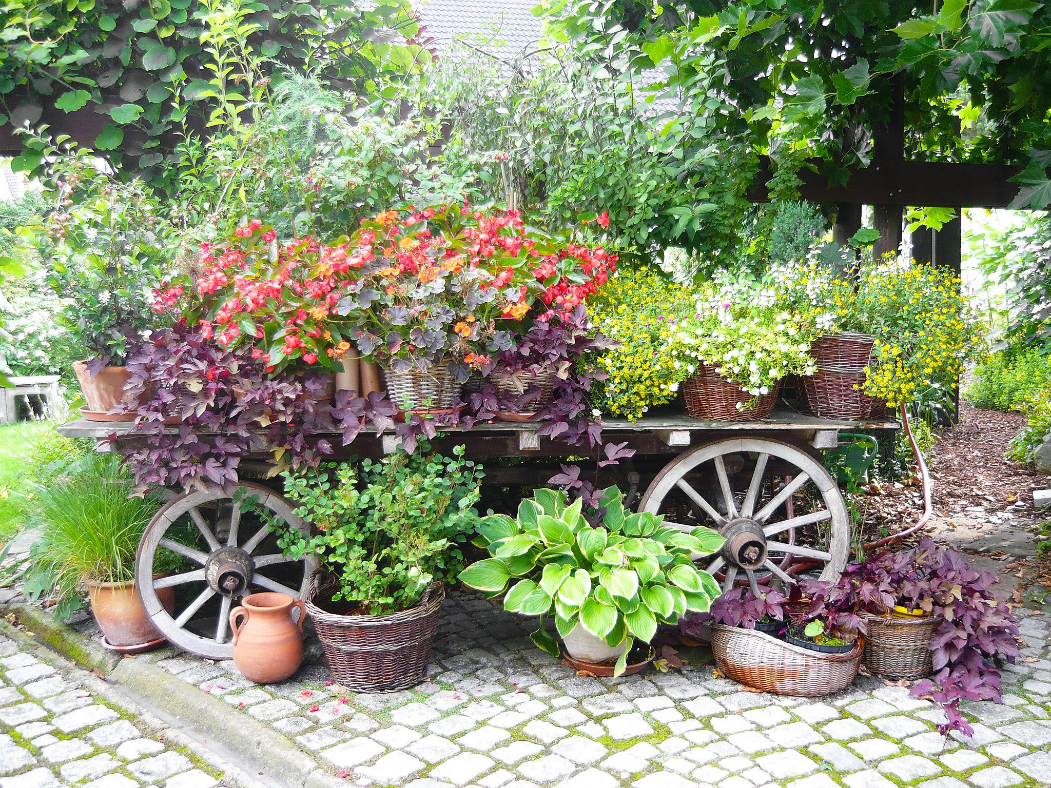 Photo 17 - Maison de 4 chambres à Neuried avec jardin