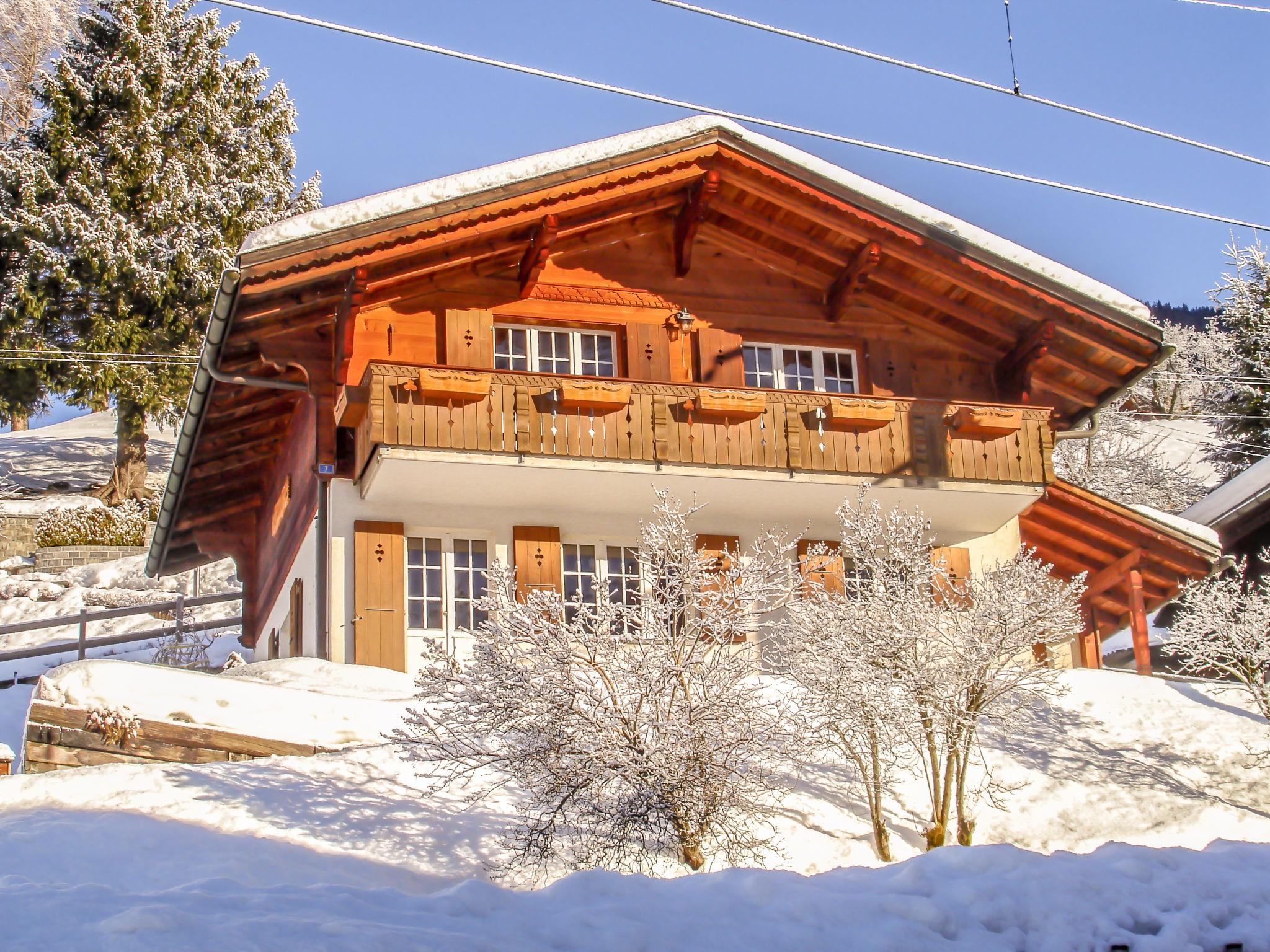 Foto 16 - Casa de 3 quartos em Grindelwald com jardim e terraço