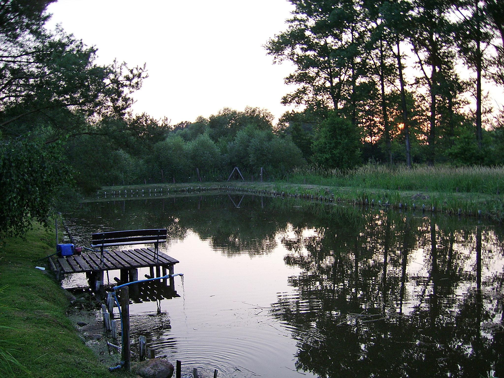 Photo 16 - Apartment in Kamień Pomorski with garden and sea view