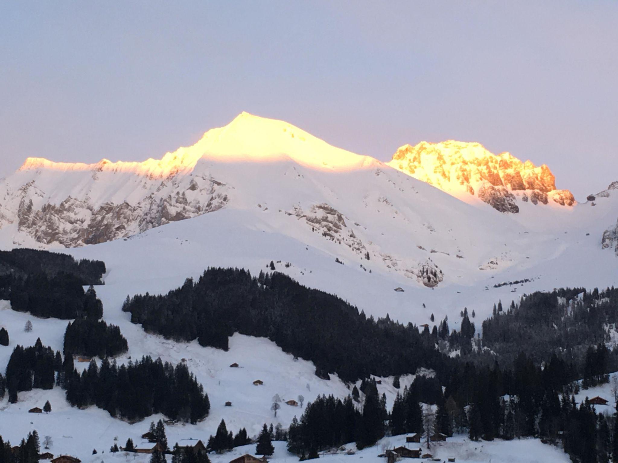 Foto 9 - Apartamento de 1 quarto em Adelboden