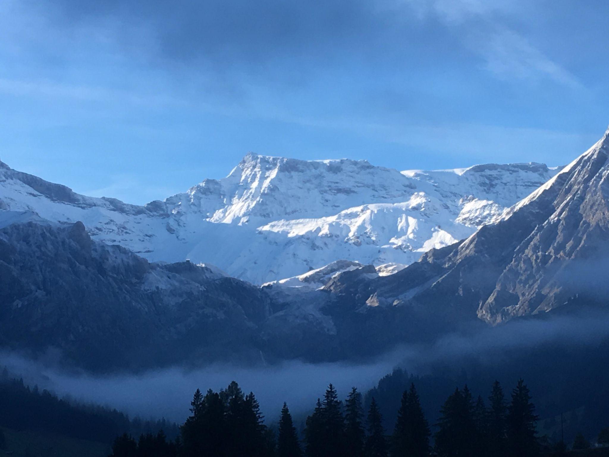 Foto 5 - Appartamento con 1 camera da letto a Adelboden