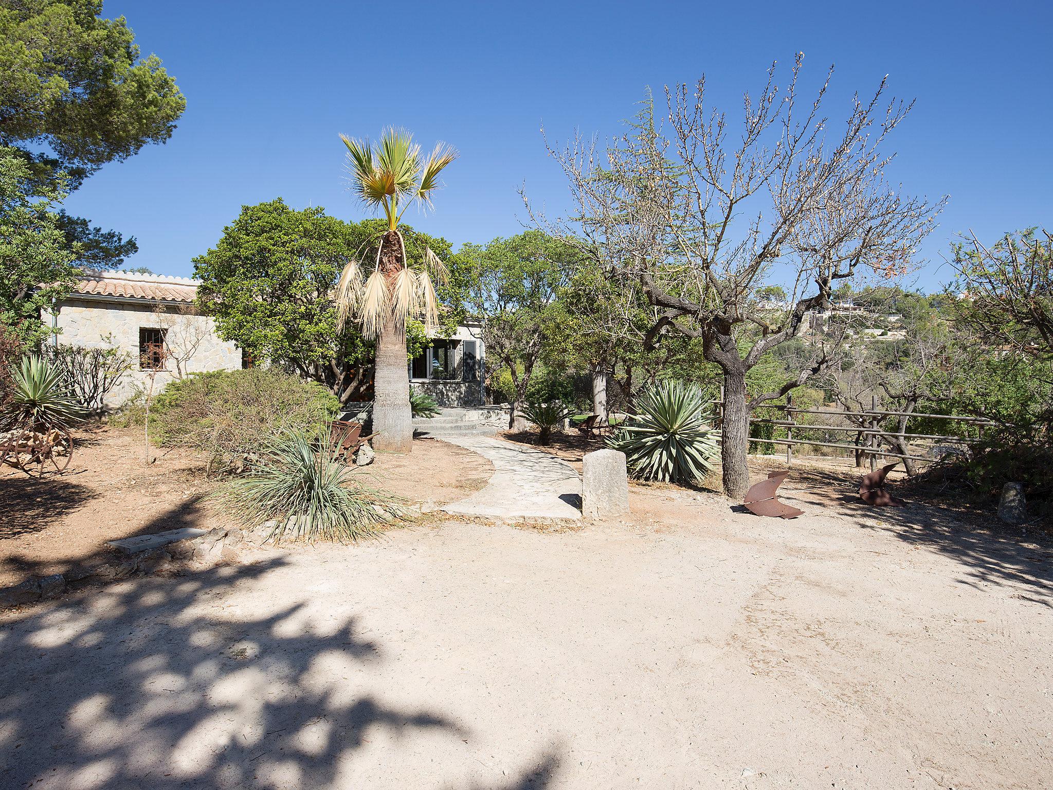 Photo 22 - 2 bedroom House in Inca with private pool and garden