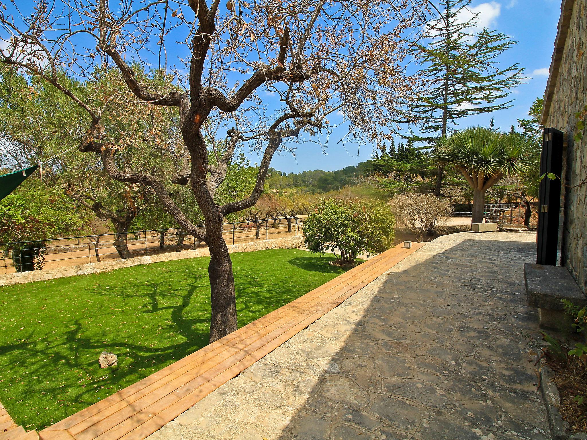 Foto 19 - Casa con 2 camere da letto a Inca con piscina privata e giardino