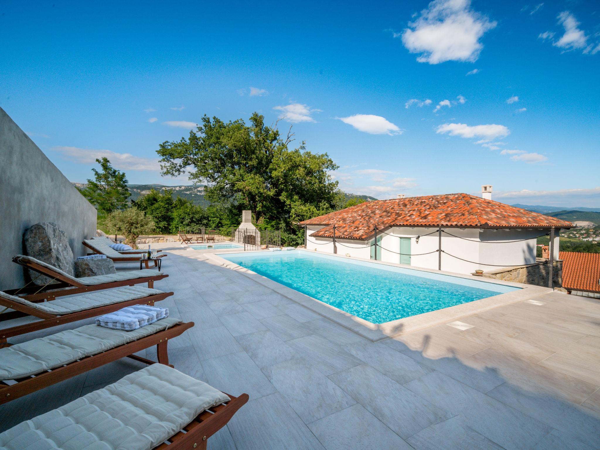 Foto 36 - Casa con 6 camere da letto a Buzet con piscina privata e giardino