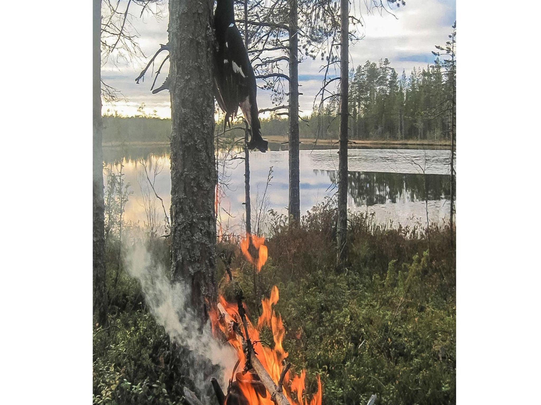 Foto 6 - Haus mit 1 Schlafzimmer in Suomussalmi mit sauna