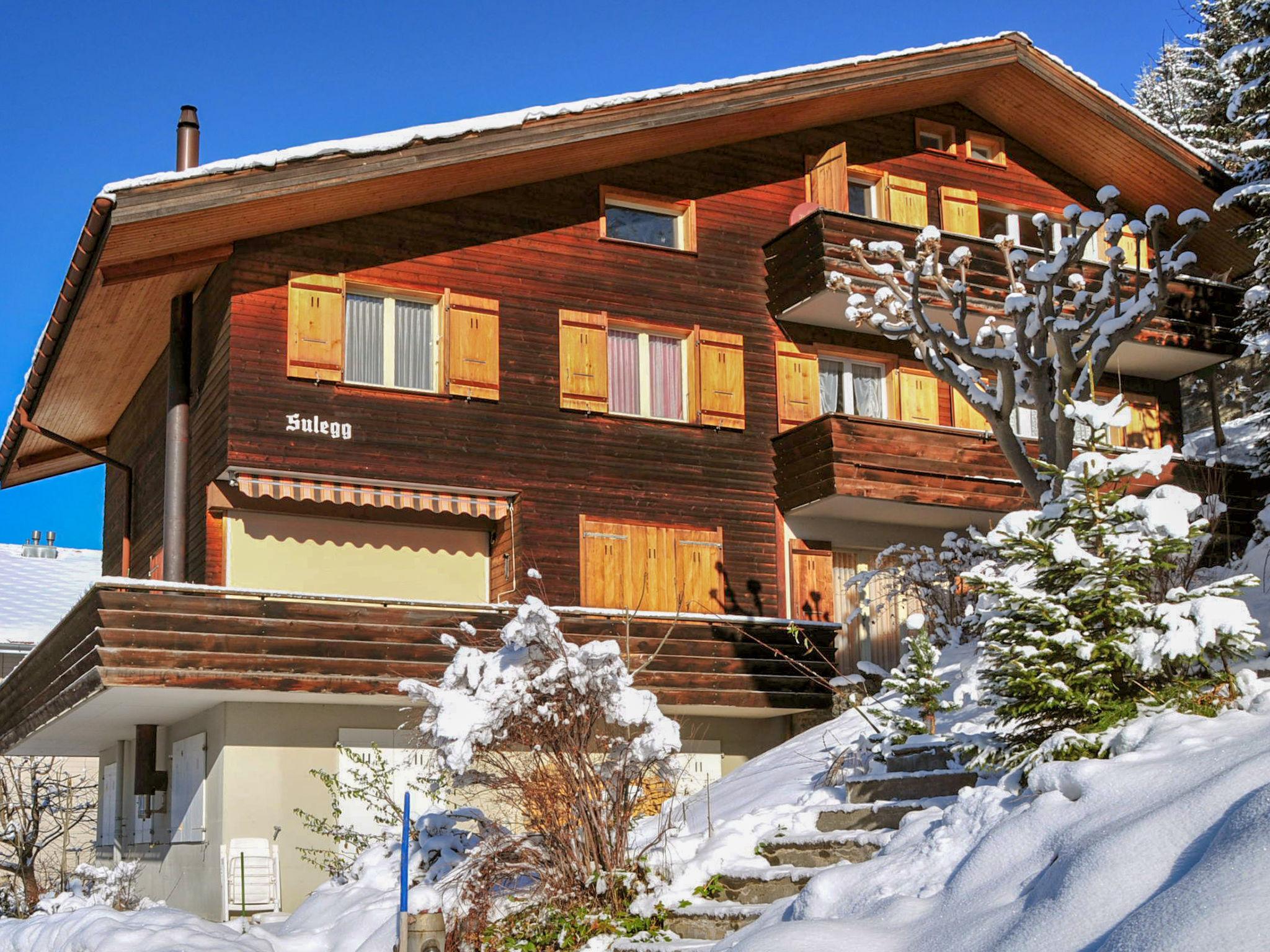 Photo 16 - Appartement de 2 chambres à Lauterbrunnen avec vues sur la montagne