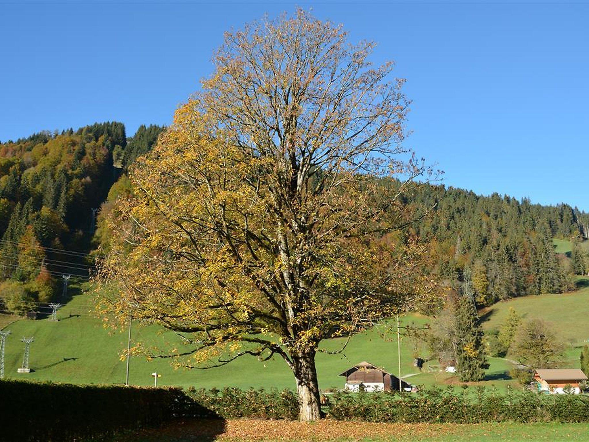 Photo 4 - 3 bedroom Apartment in Saanen