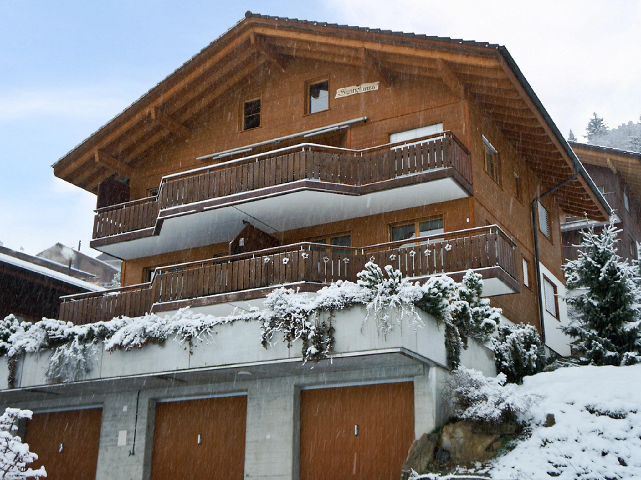 Photo 20 - Appartement de 1 chambre à Beatenberg avec vues sur la montagne