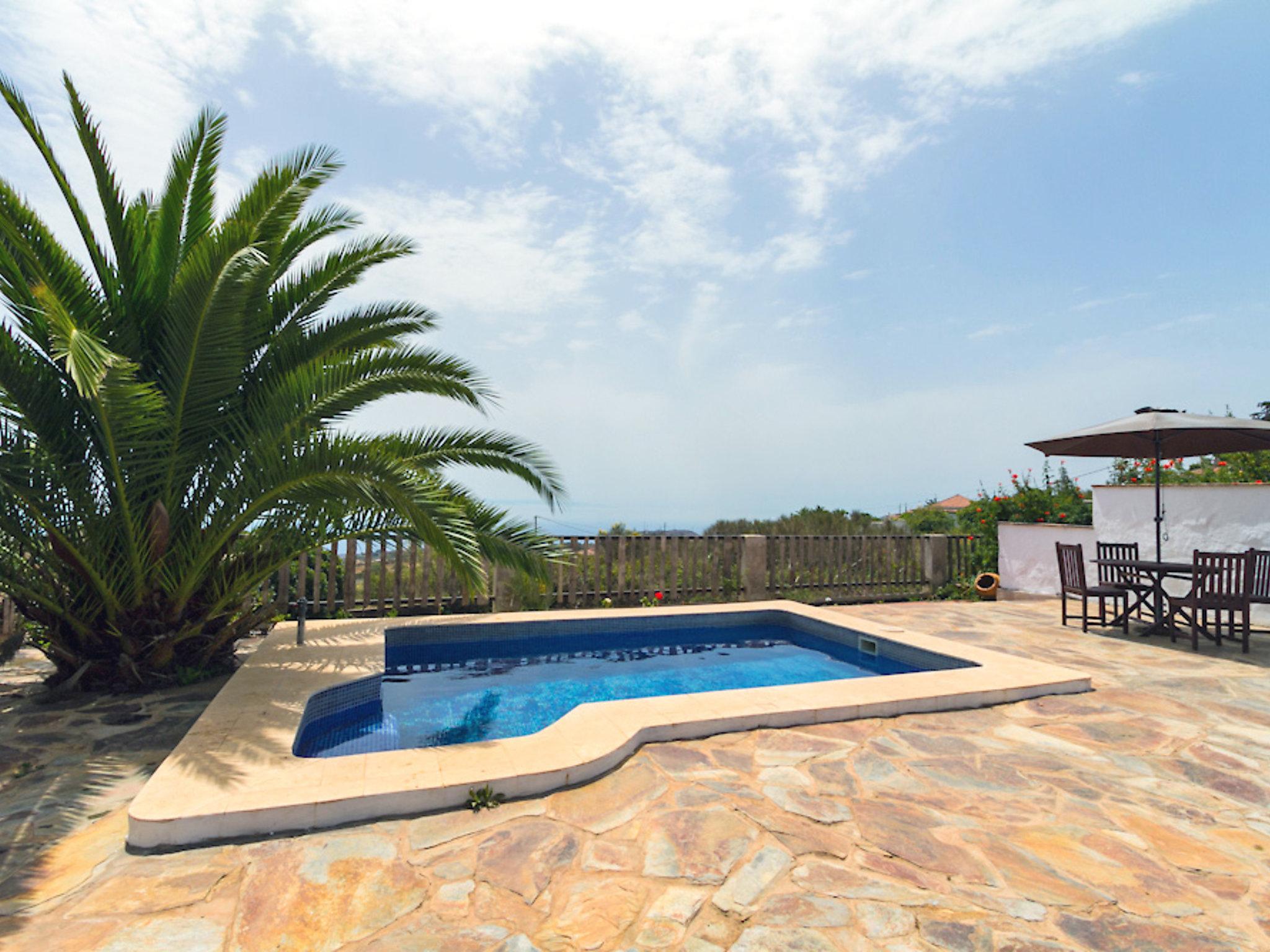 Photo 10 - 2 bedroom House in El Rosario with private pool and garden