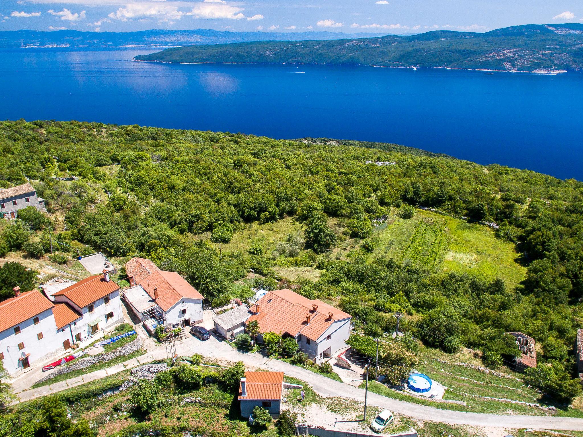 Foto 3 - Apartamento de 2 habitaciones en Kršan con piscina privada y vistas al mar