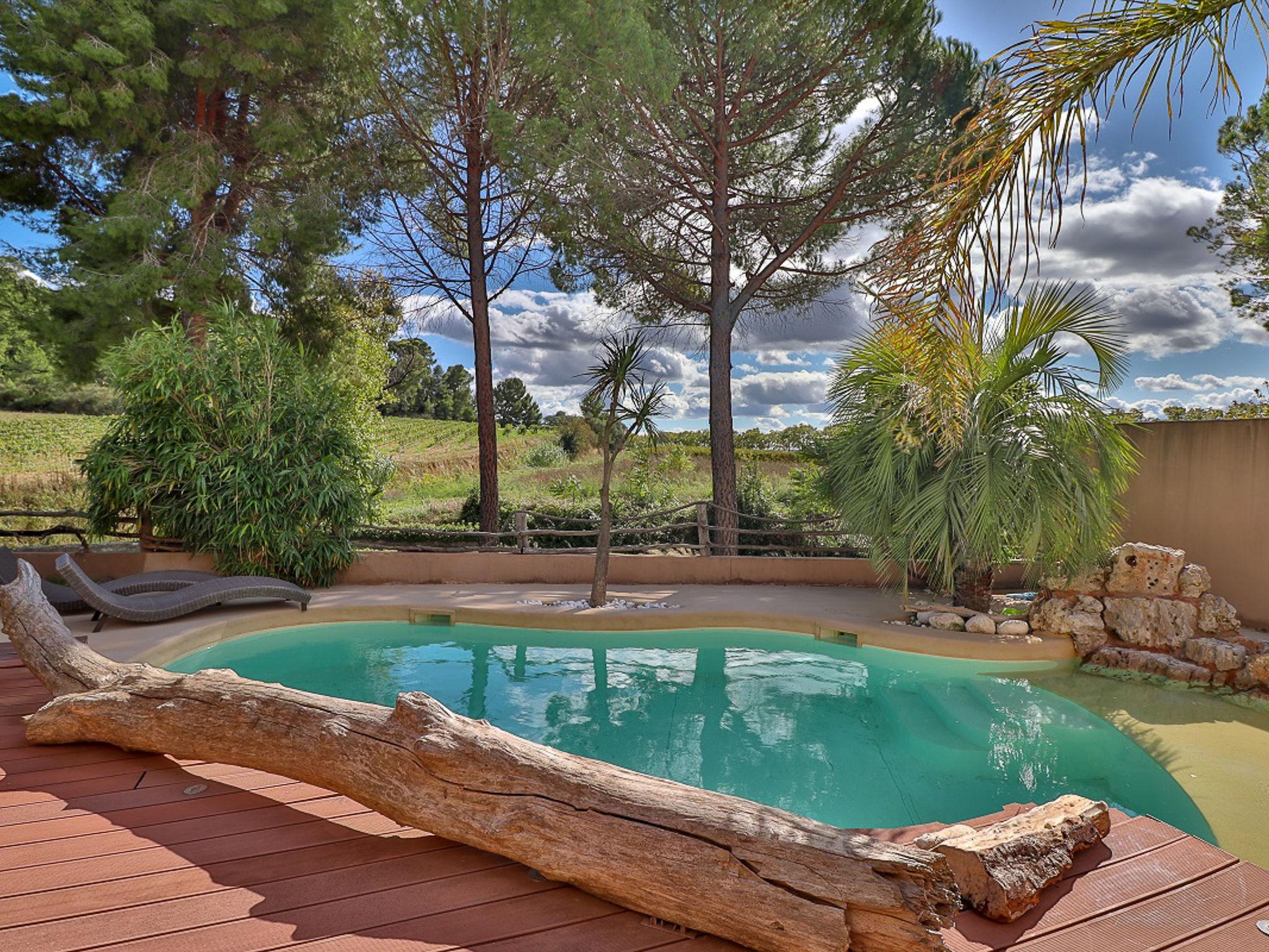 Foto 3 - Casa de 3 quartos em Thézan-lès-Béziers com piscina privada e jardim