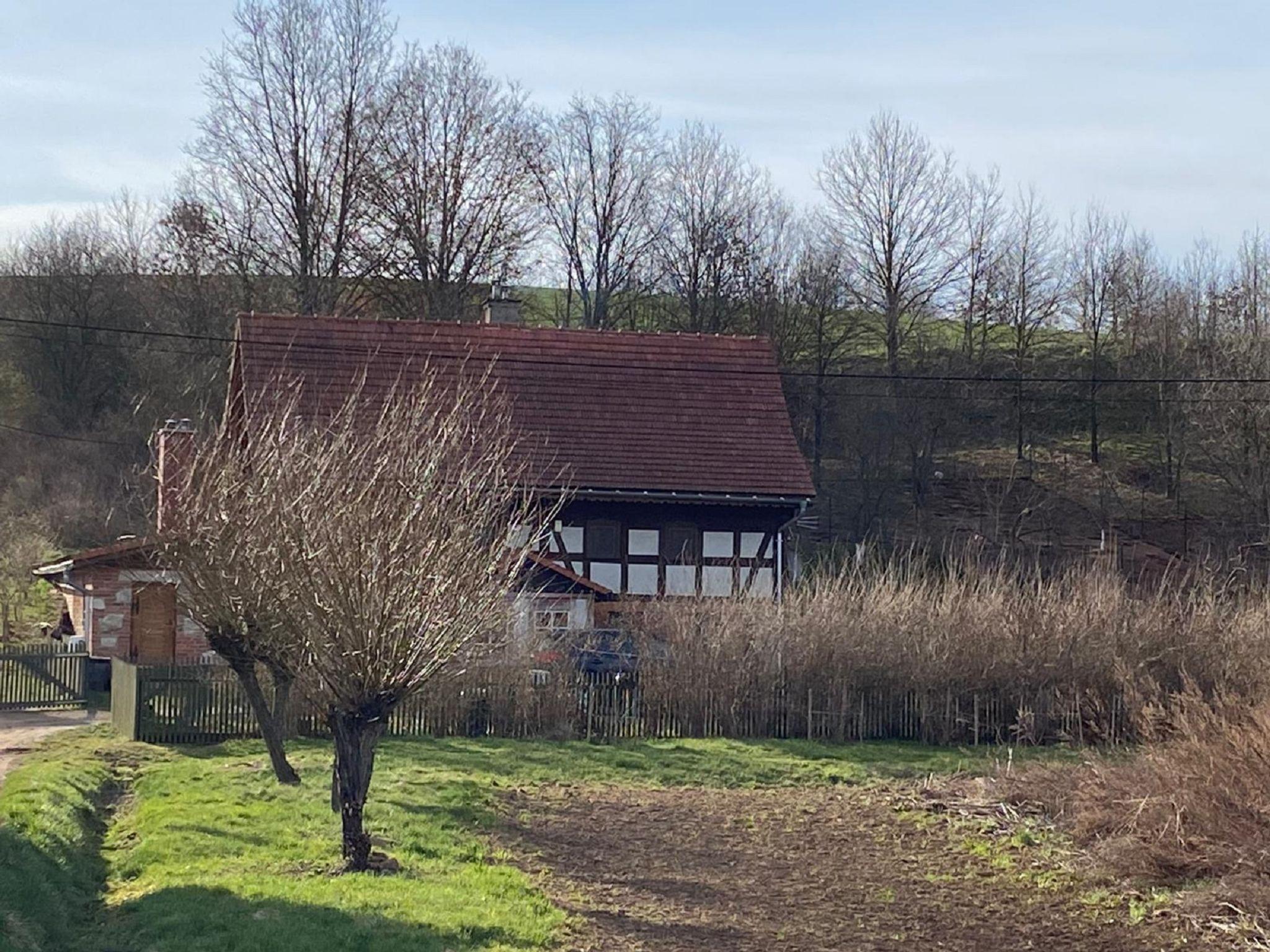 Foto 7 - Haus mit 2 Schlafzimmern in Lwówek Śląski mit garten und terrasse