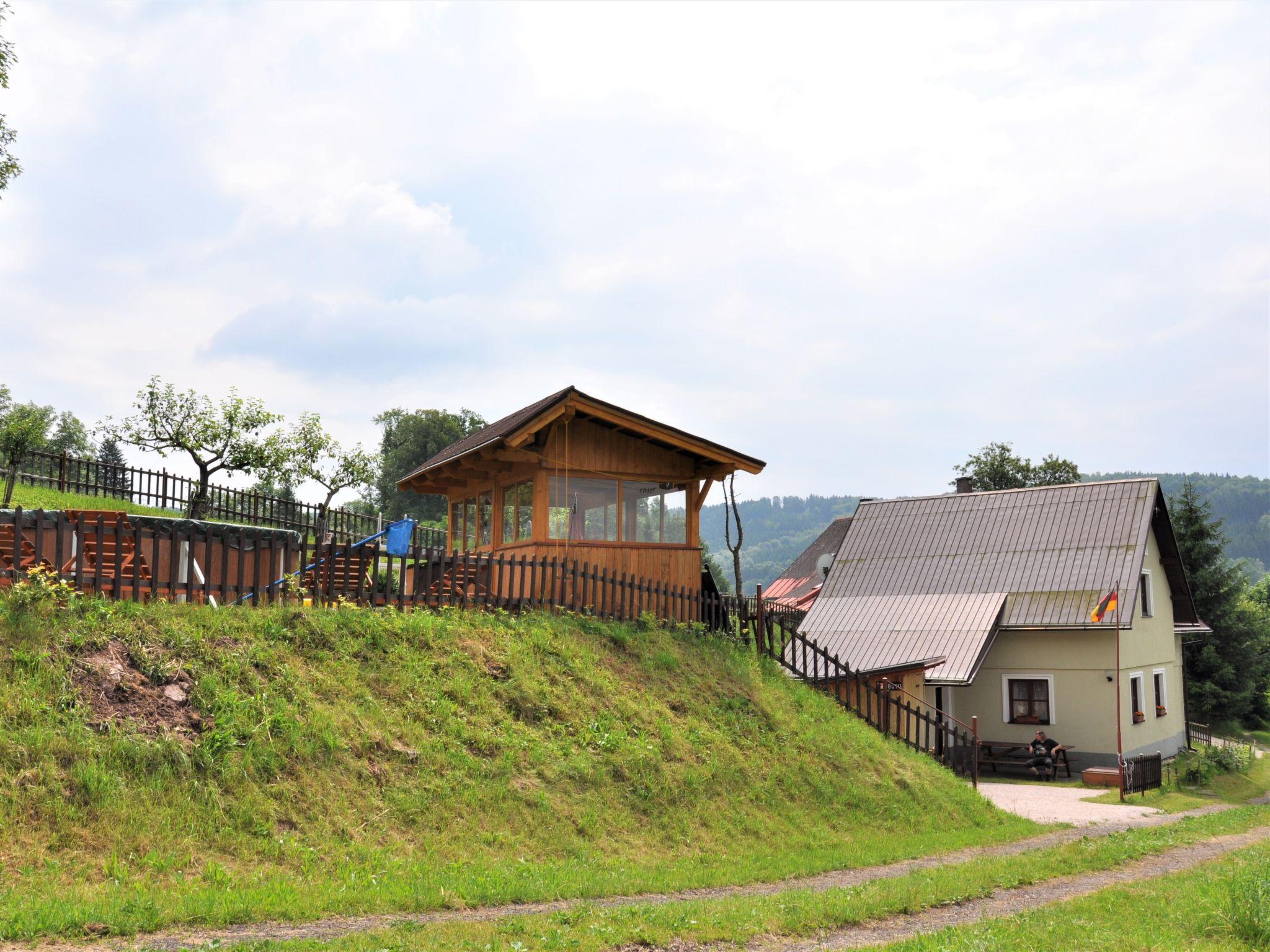 Foto 20 - Casa con 3 camere da letto a Háje nad Jizerou con piscina privata e terrazza