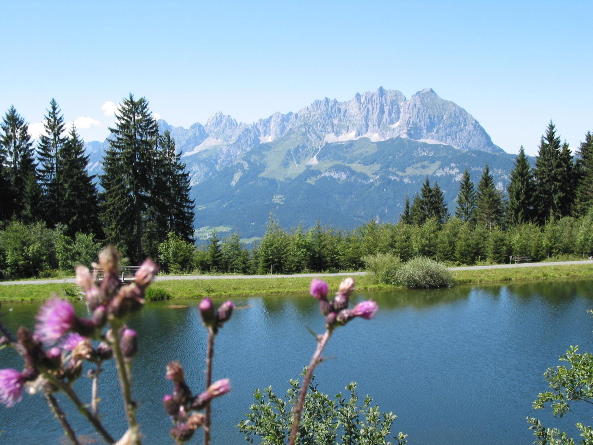 Foto 28 - Apartamento de 1 quarto em Sankt Johann in Tirol com terraço e vista para a montanha