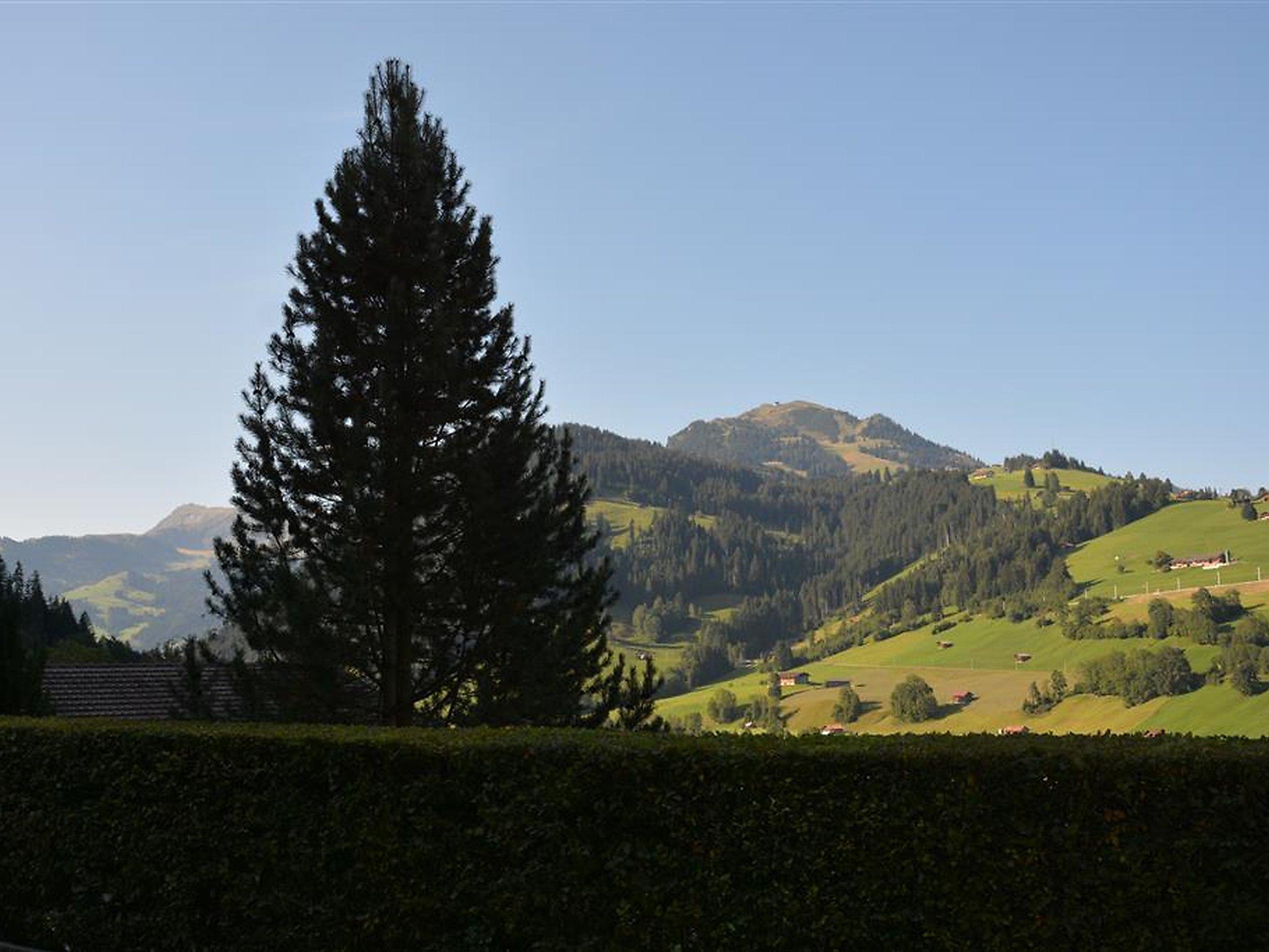 Photo 7 - Appartement de 1 chambre à Zweisimmen