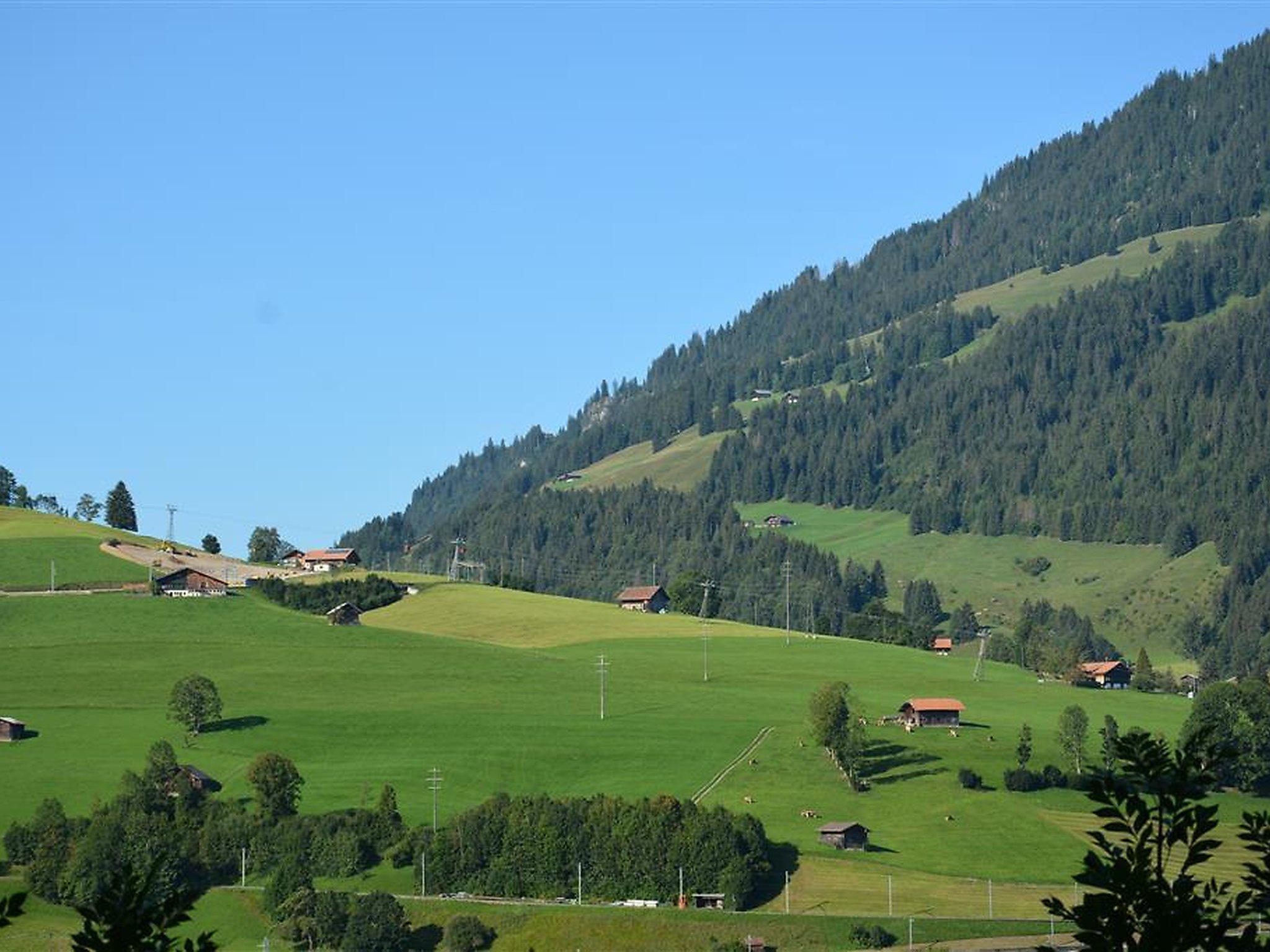 Foto 6 - Apartamento de 1 quarto em Zweisimmen