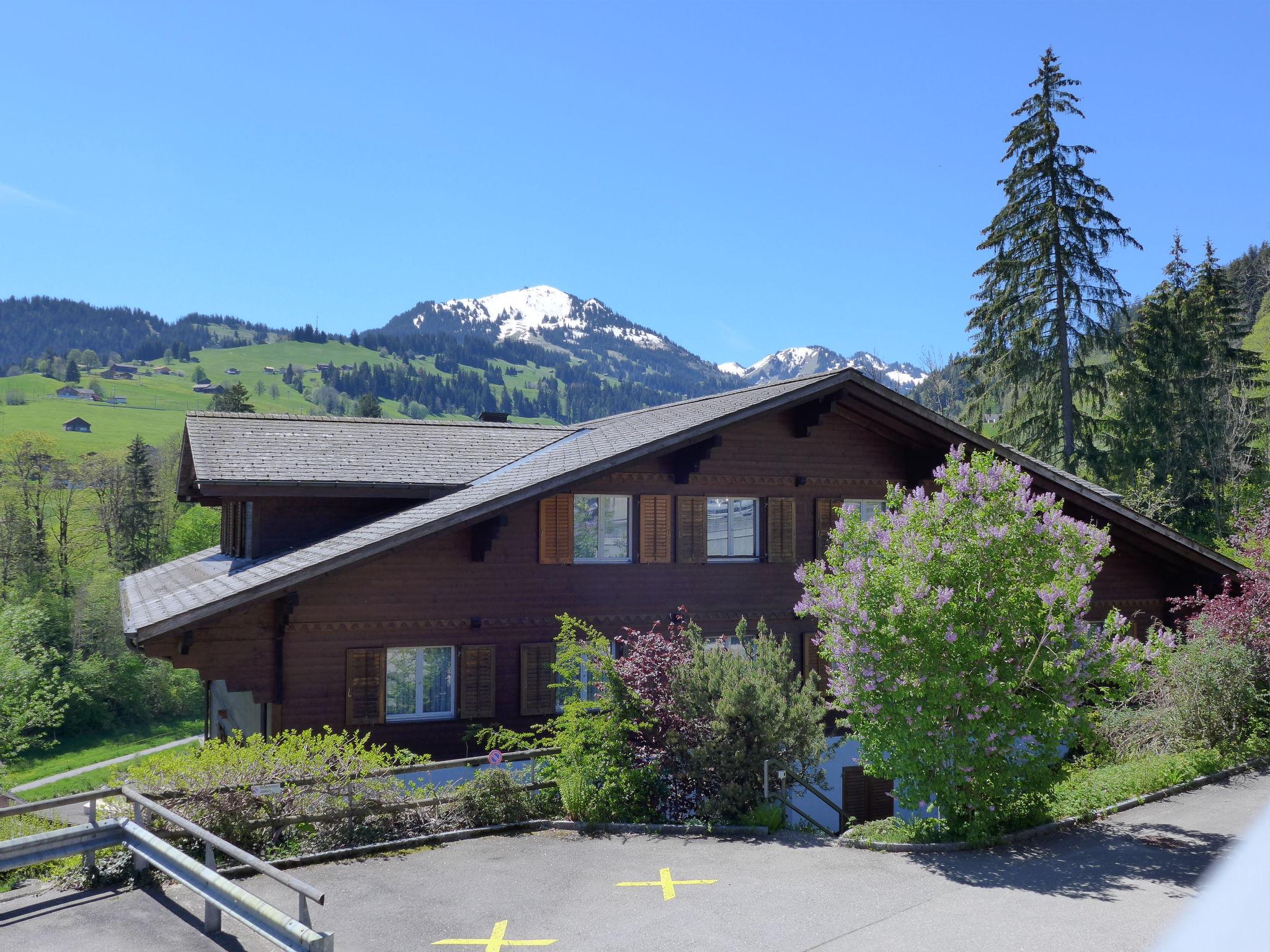 Photo 24 - Appartement de 3 chambres à Zweisimmen avec vues sur la montagne