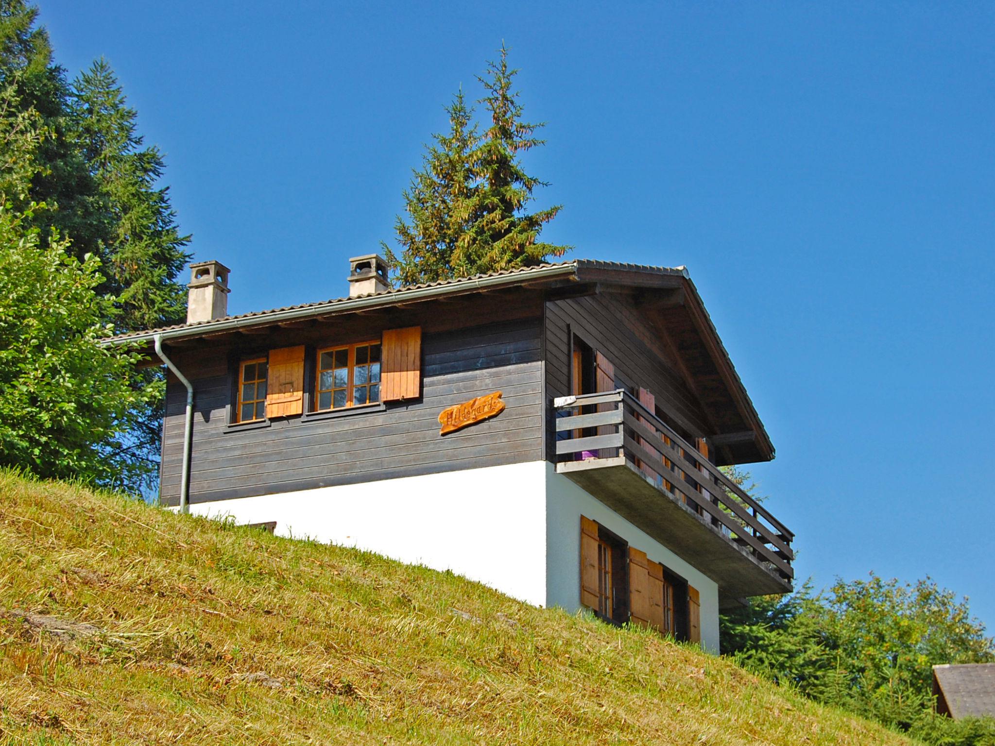 Foto 1 - Casa de 3 habitaciones en Nendaz con jardín y vistas a la montaña