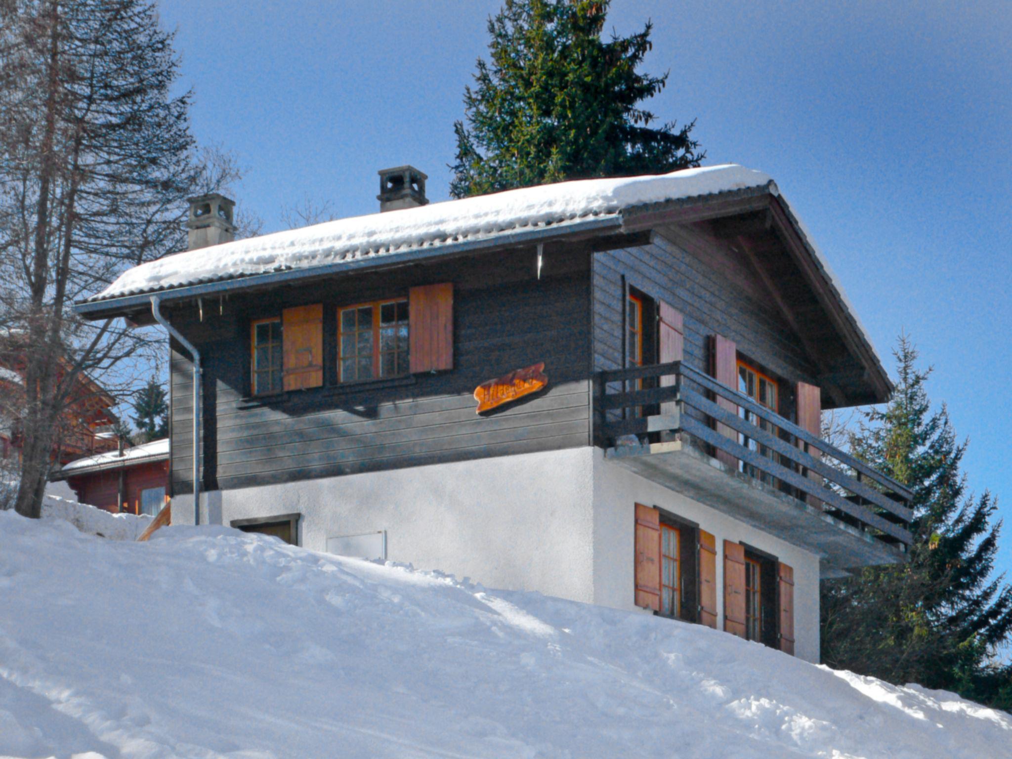 Foto 30 - Casa de 3 quartos em Nendaz com jardim e terraço