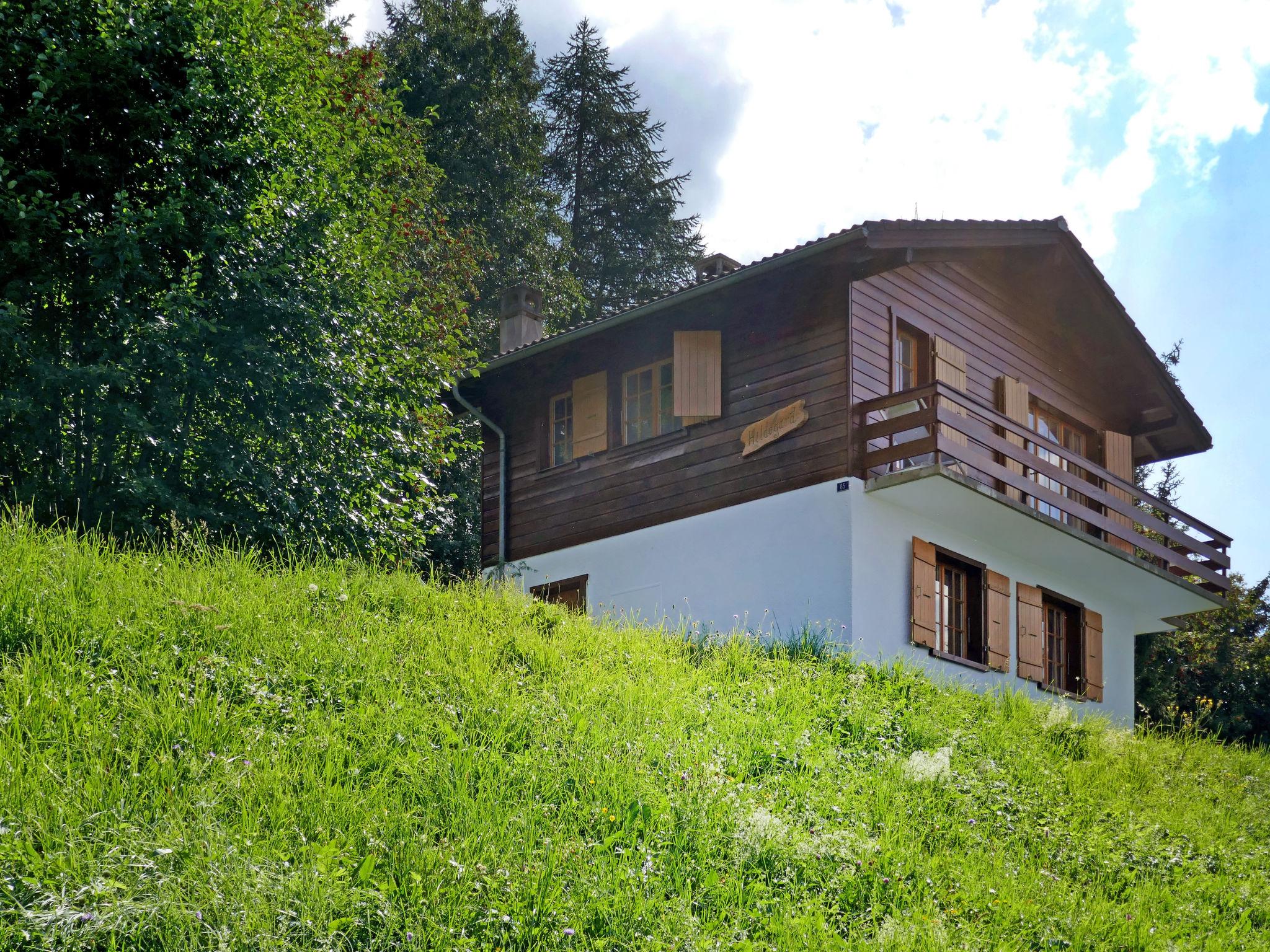 Foto 21 - Casa de 3 habitaciones en Nendaz con jardín y vistas a la montaña