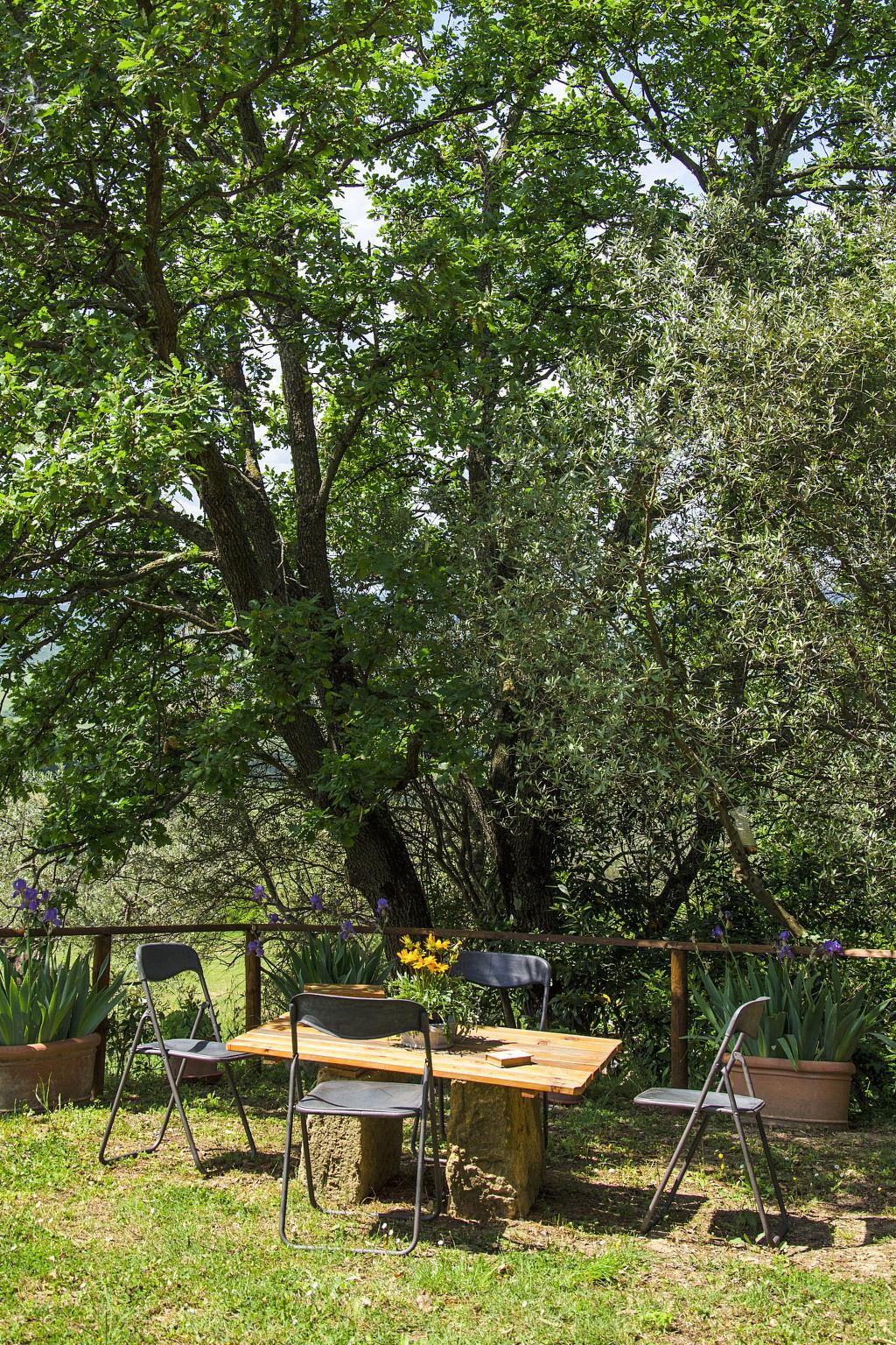 Foto 25 - Casa de 1 quarto em Volterra com jardim e terraço