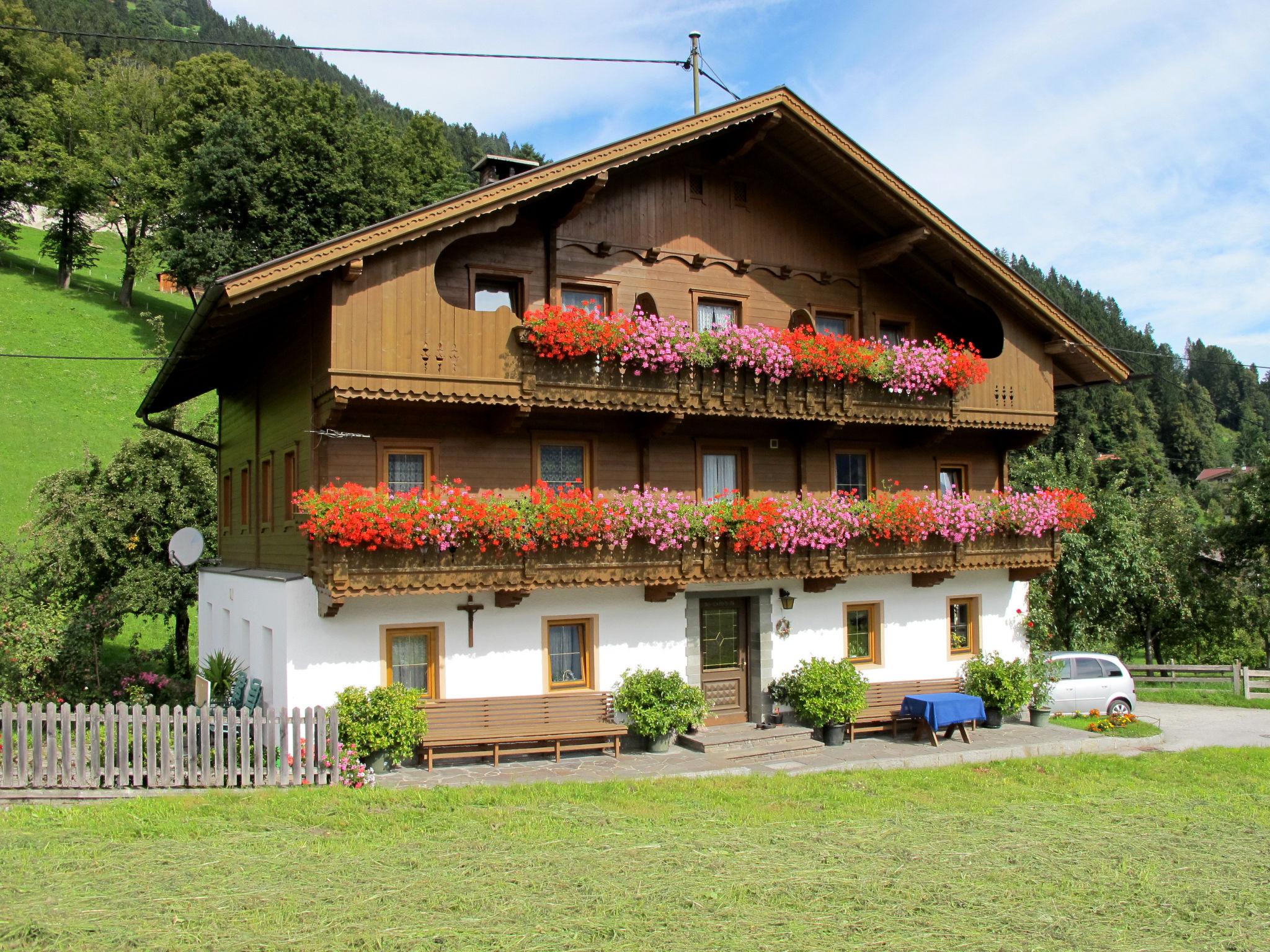 Foto 1 - Appartamento con 2 camere da letto a Schwendau con vista sulle montagne