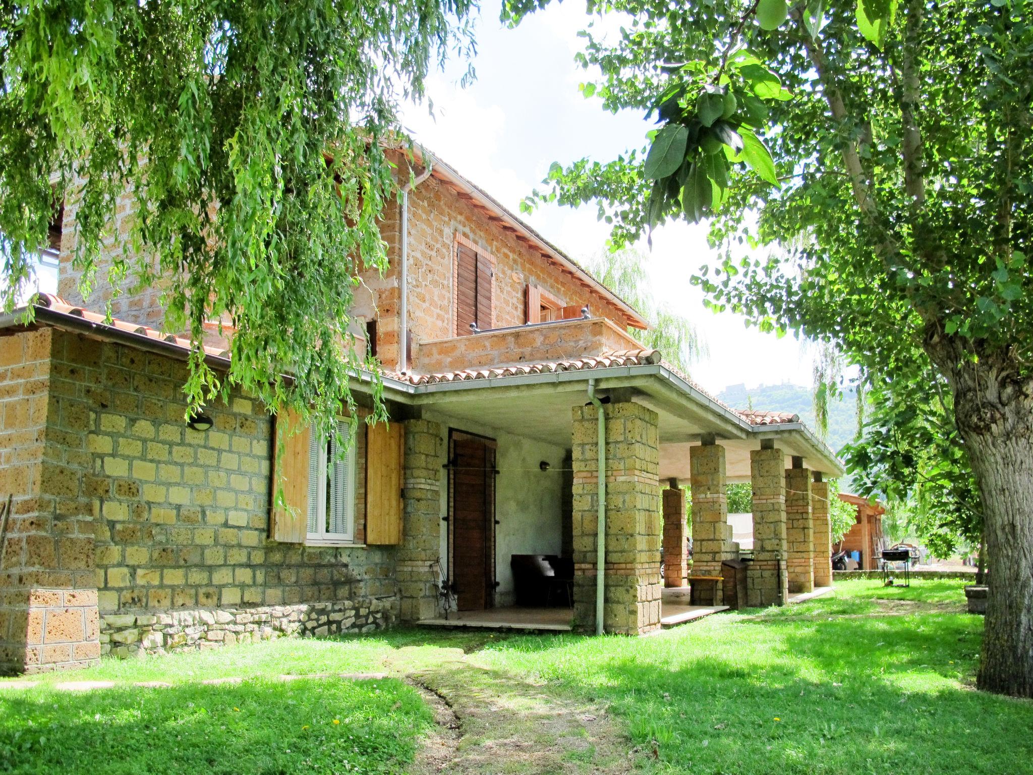 Foto 3 - Apartamento de 2 quartos em Montefiascone com piscina e jardim